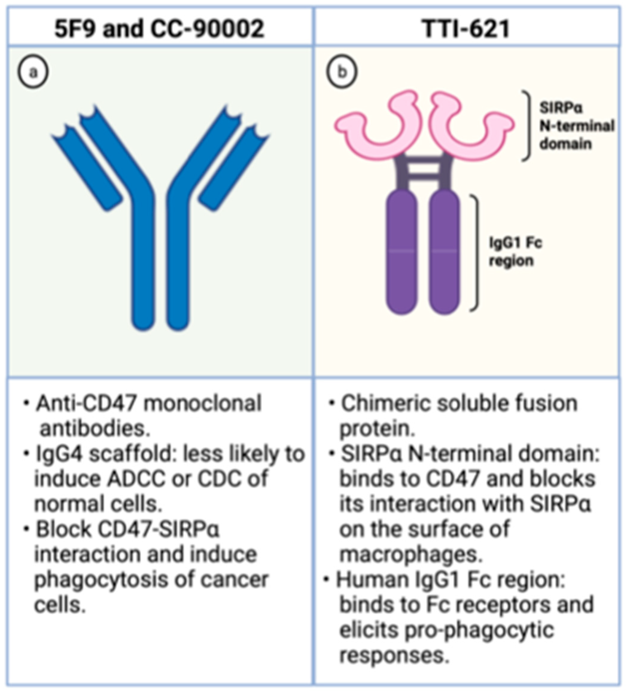 Cancers 13 06258 g003