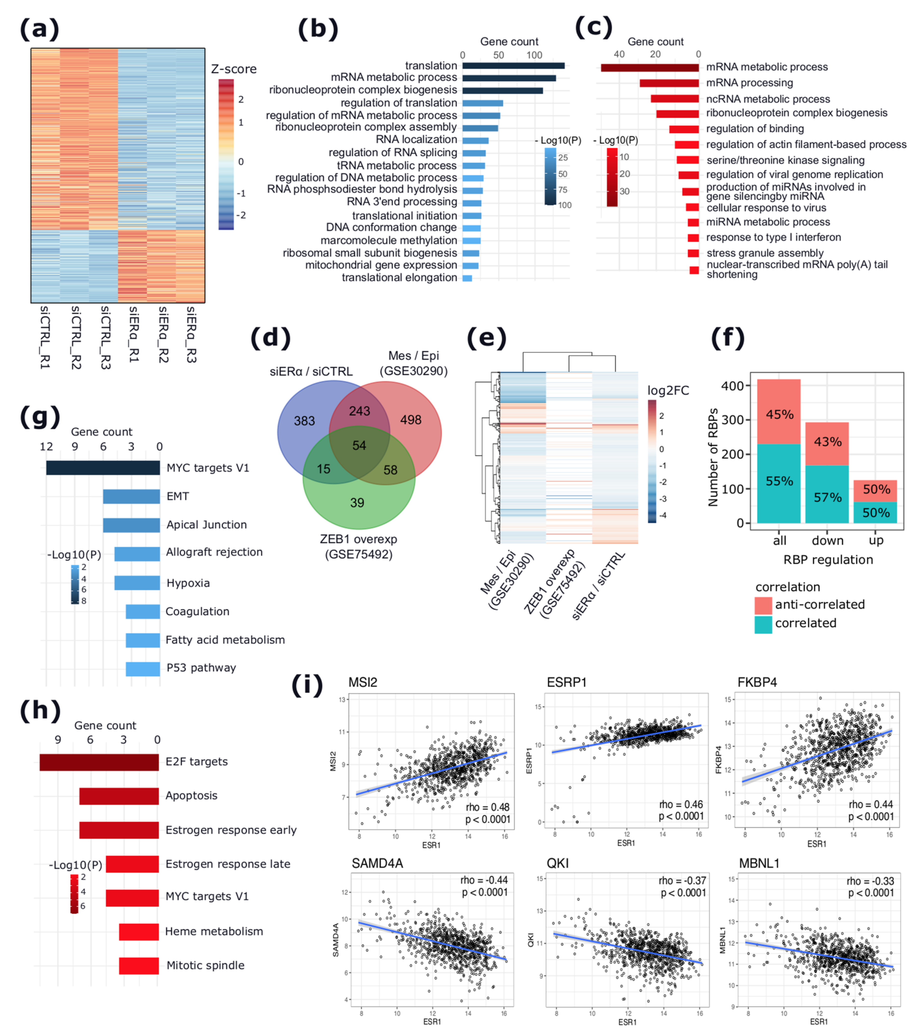 Cancers 13 06261 g001