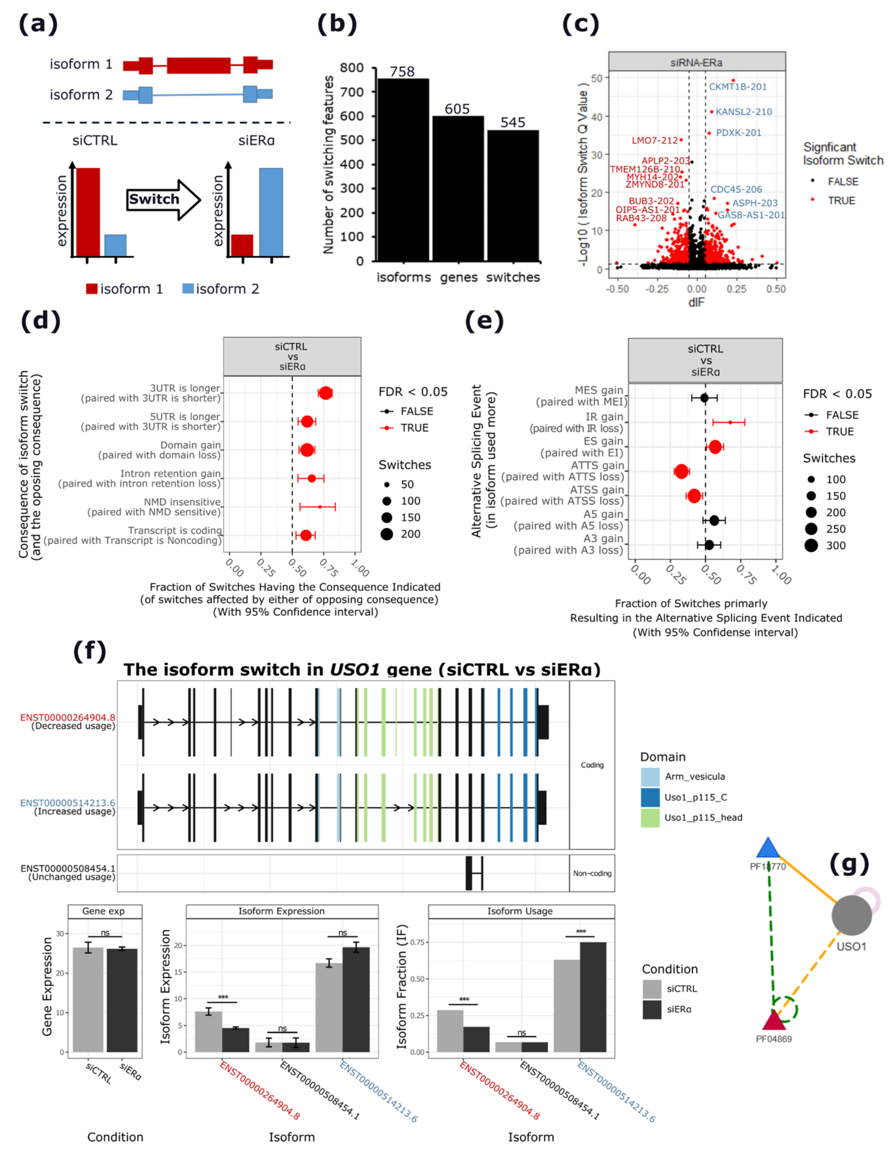 Cancers 13 06261 g002