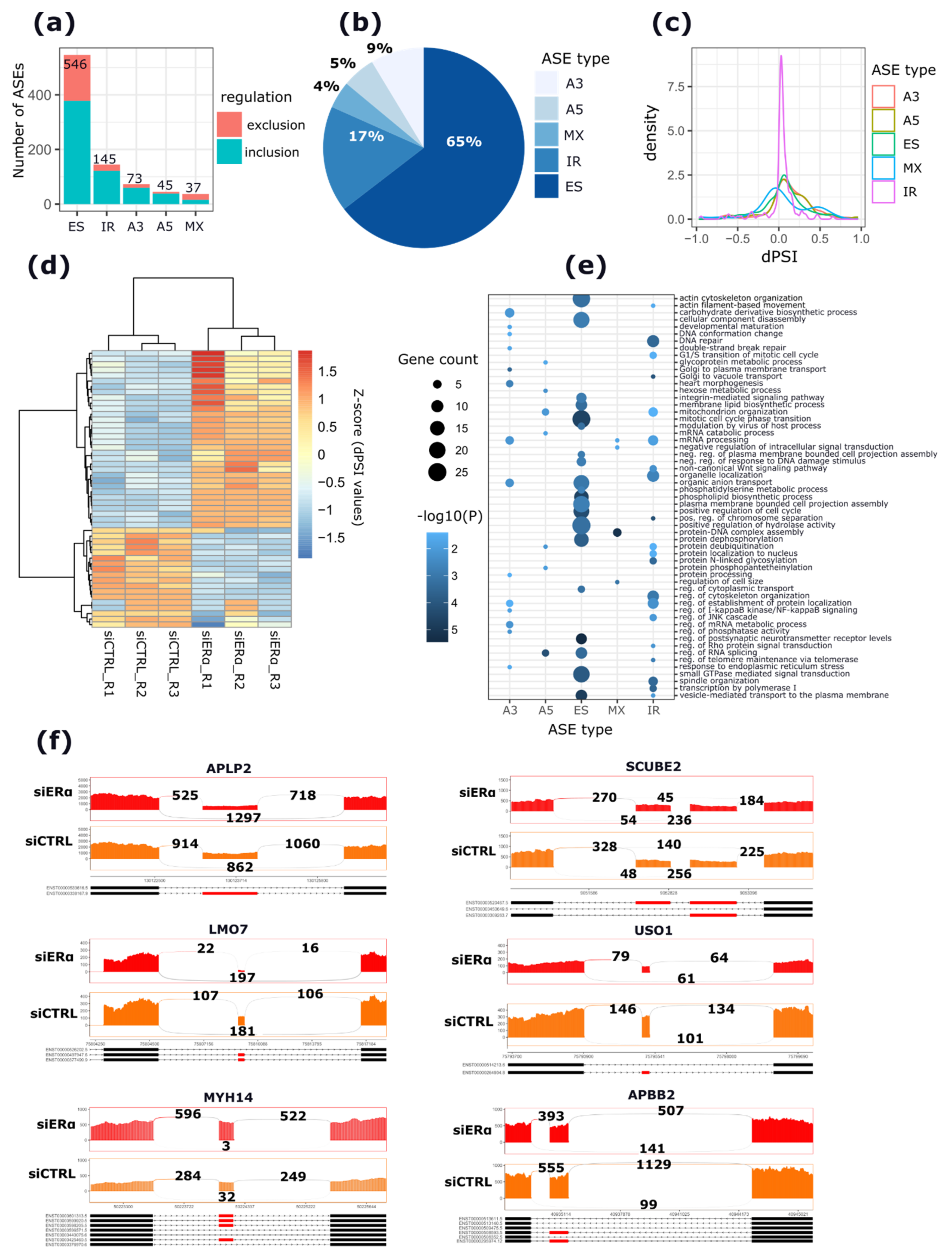 Cancers 13 06261 g003