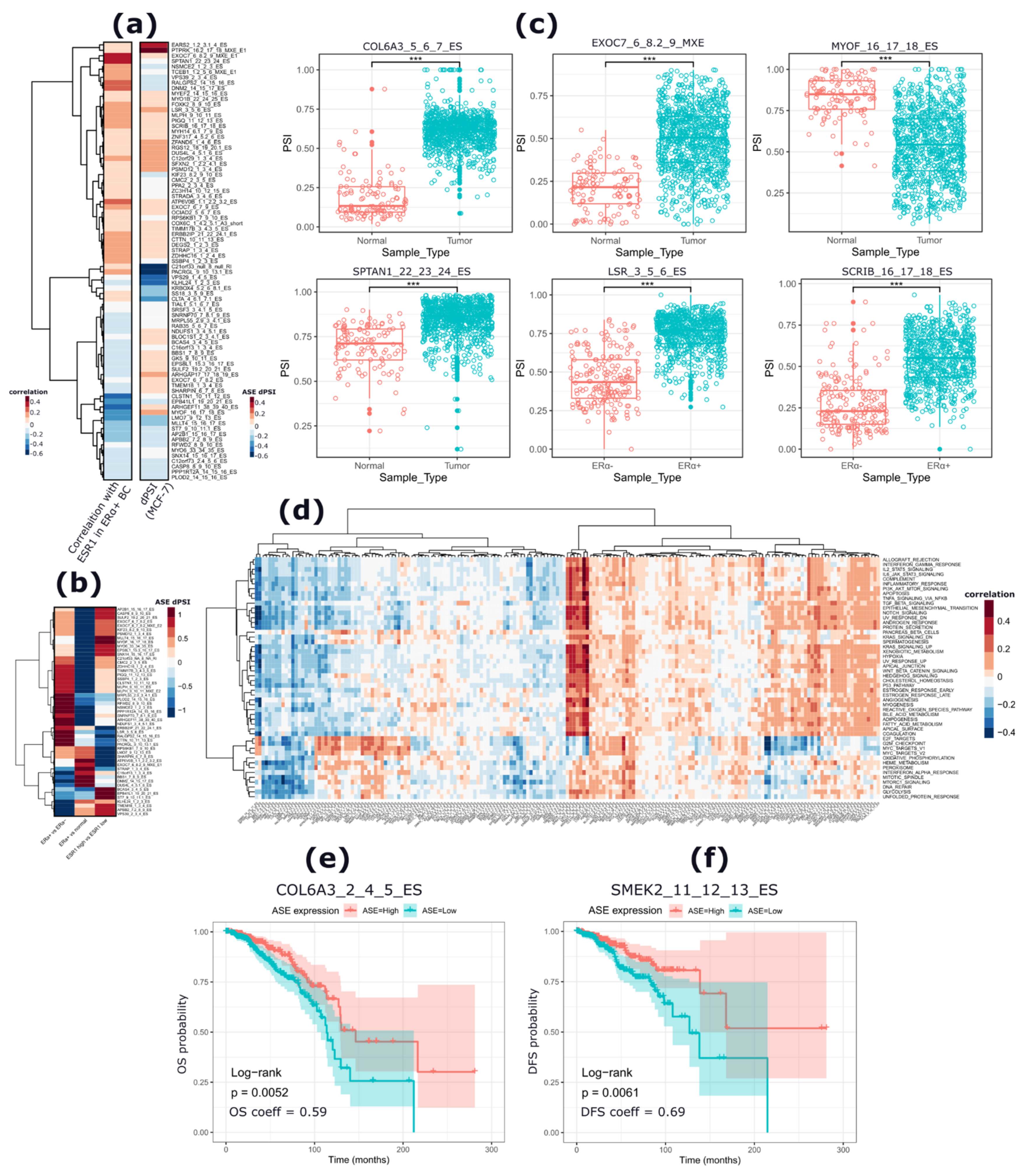 Cancers 13 06261 g004