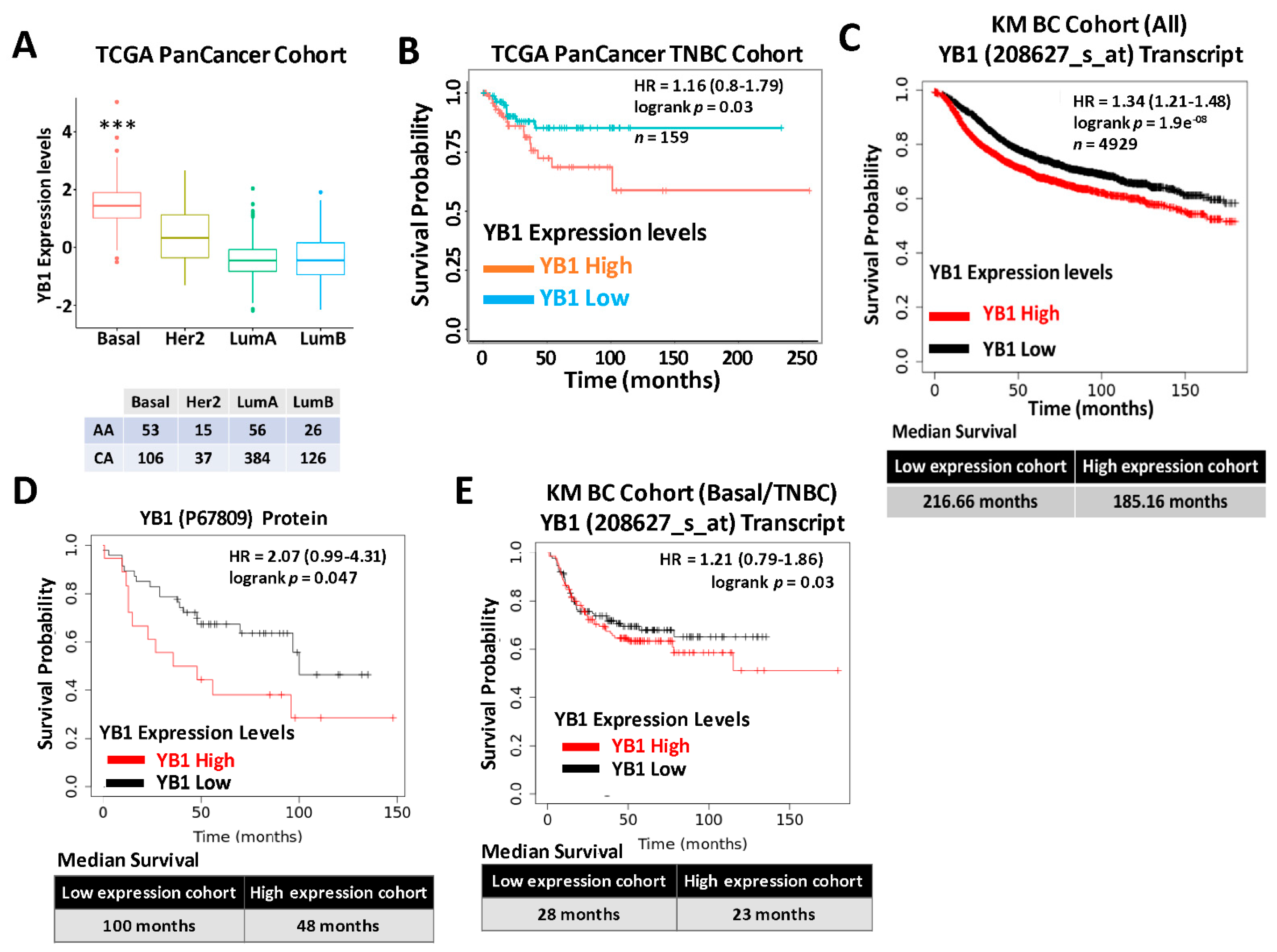 Cancers 13 06262 g001