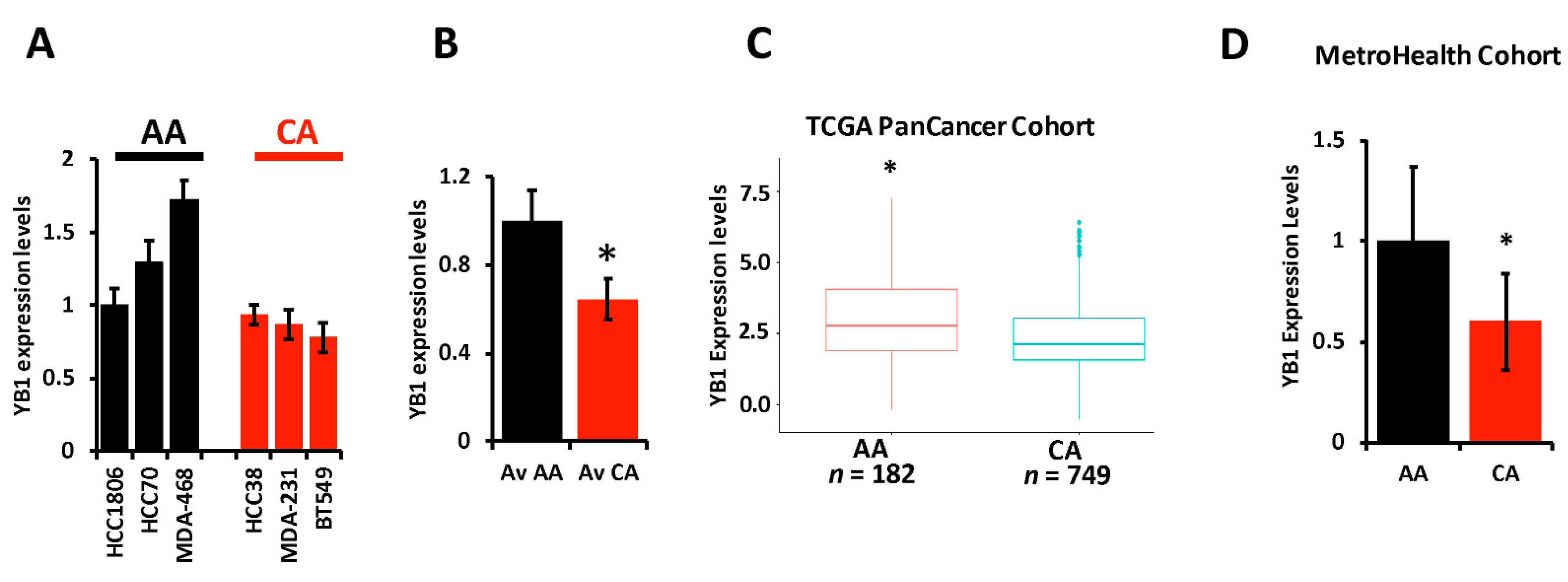 Cancers 13 06262 g002