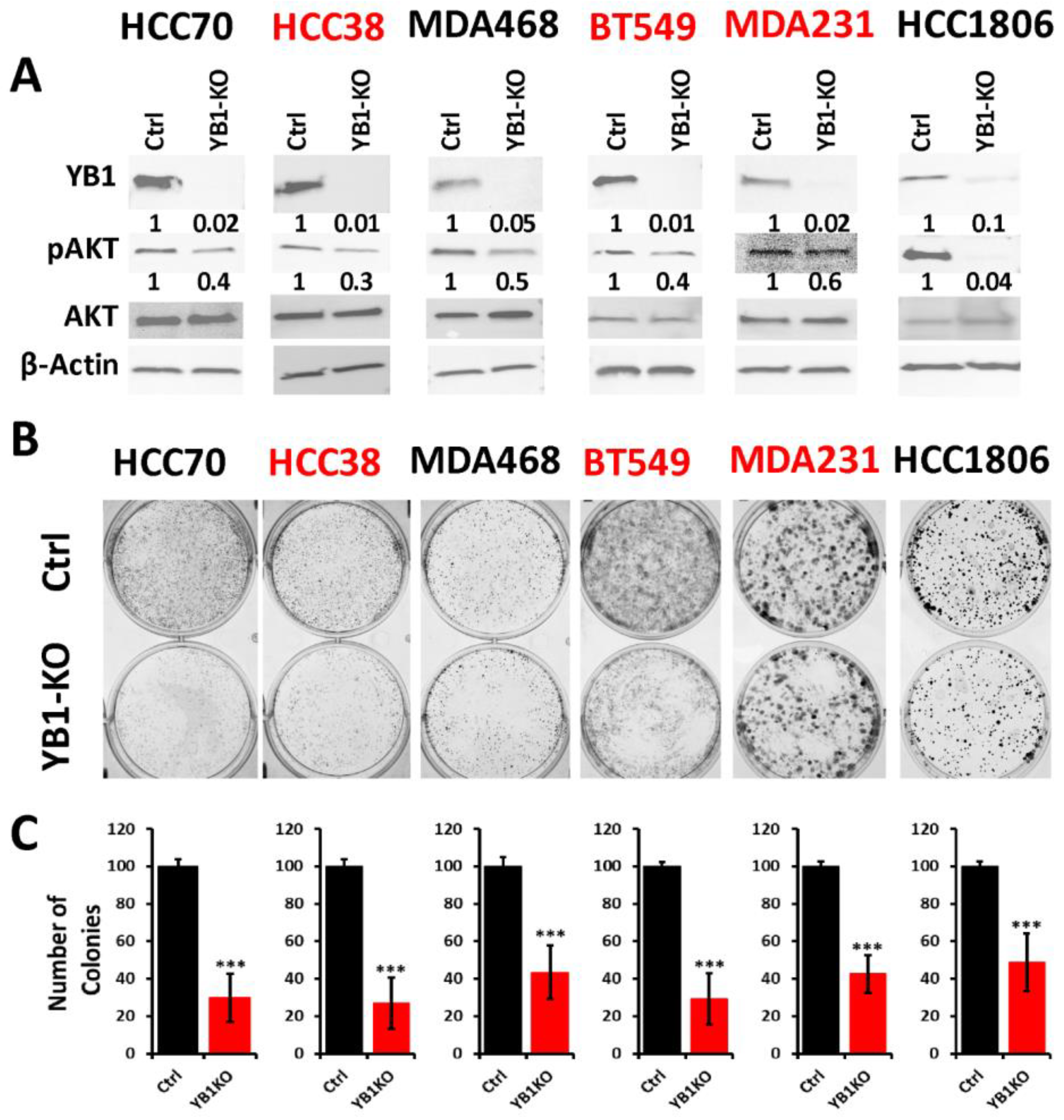 Cancers 13 06262 g003