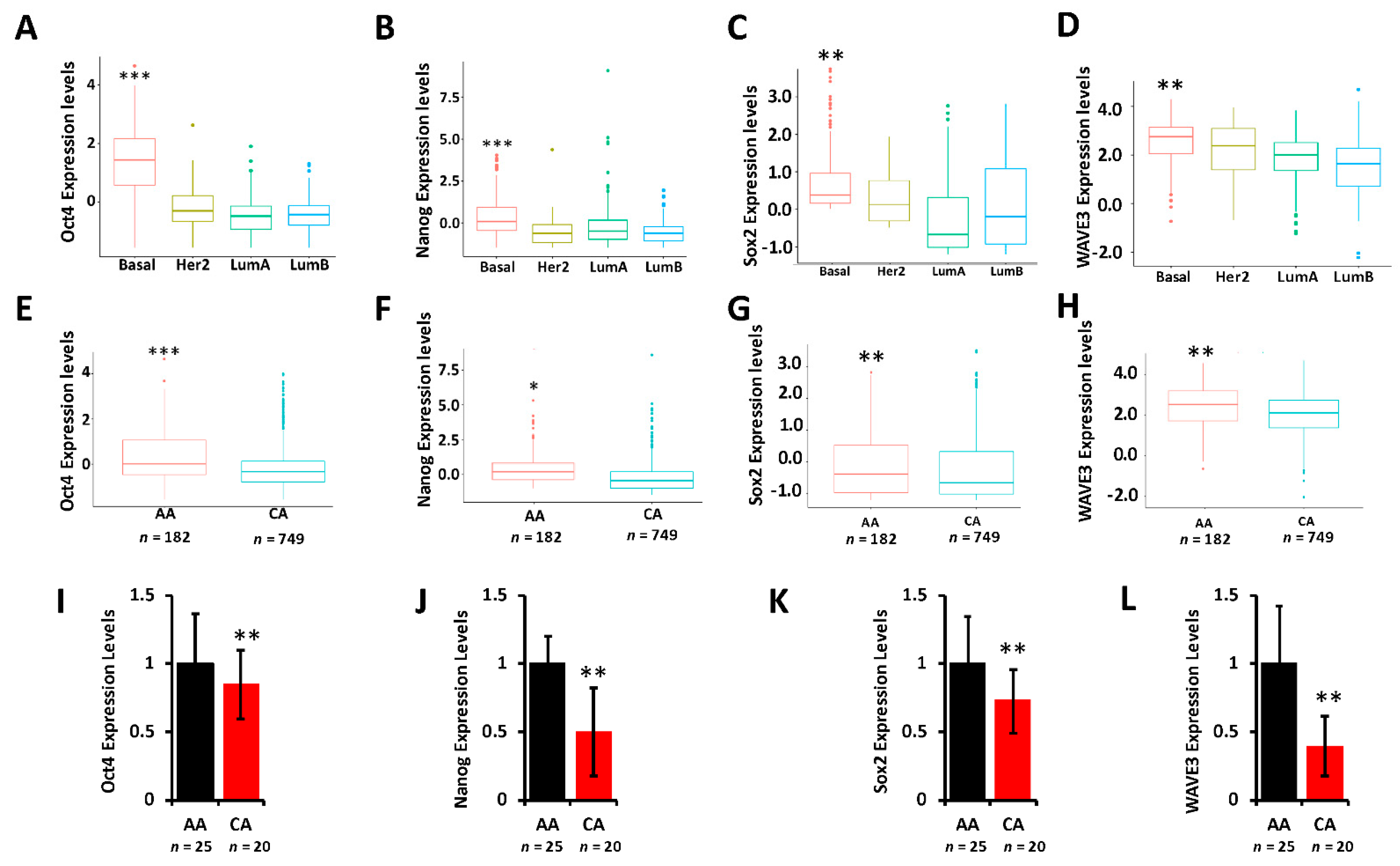 Cancers 13 06262 g005