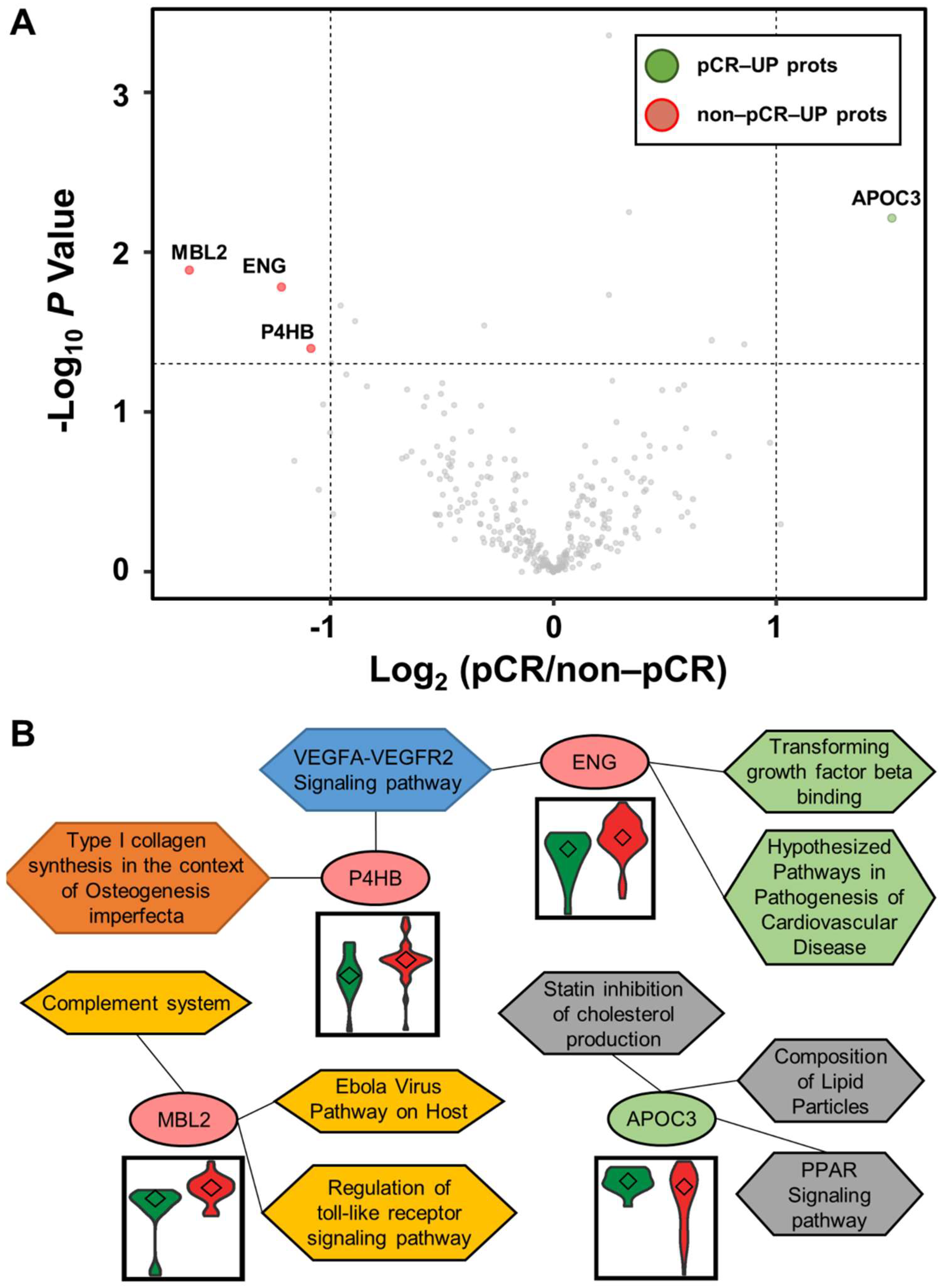 Cancers 13 06267 g002