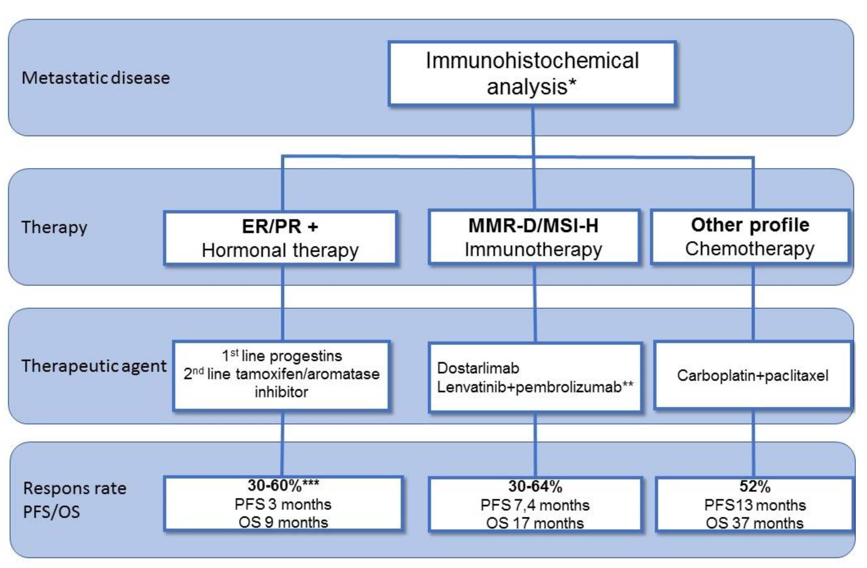 Cancers 13 06275 g003