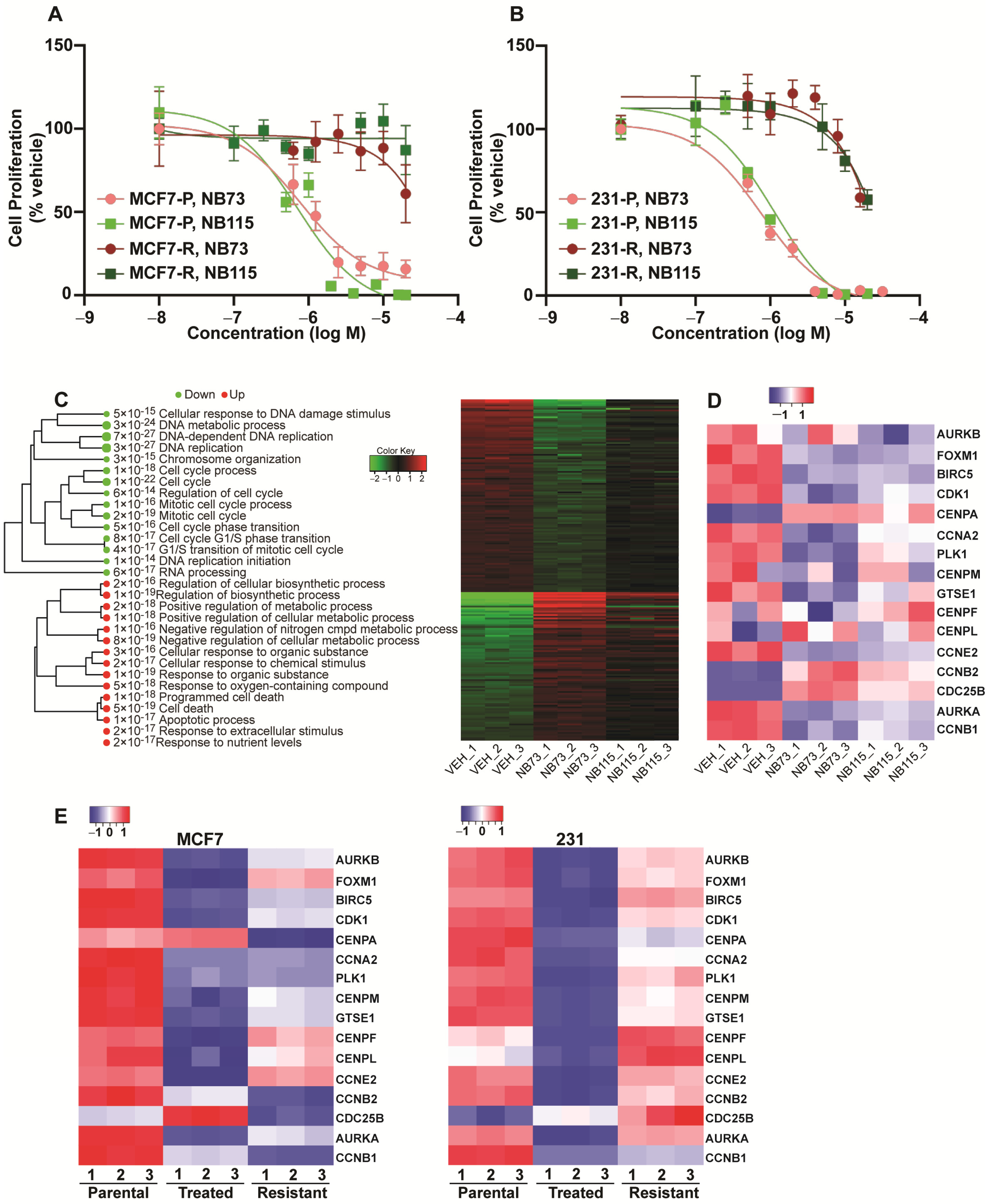 Cancers 13 06282 g001
