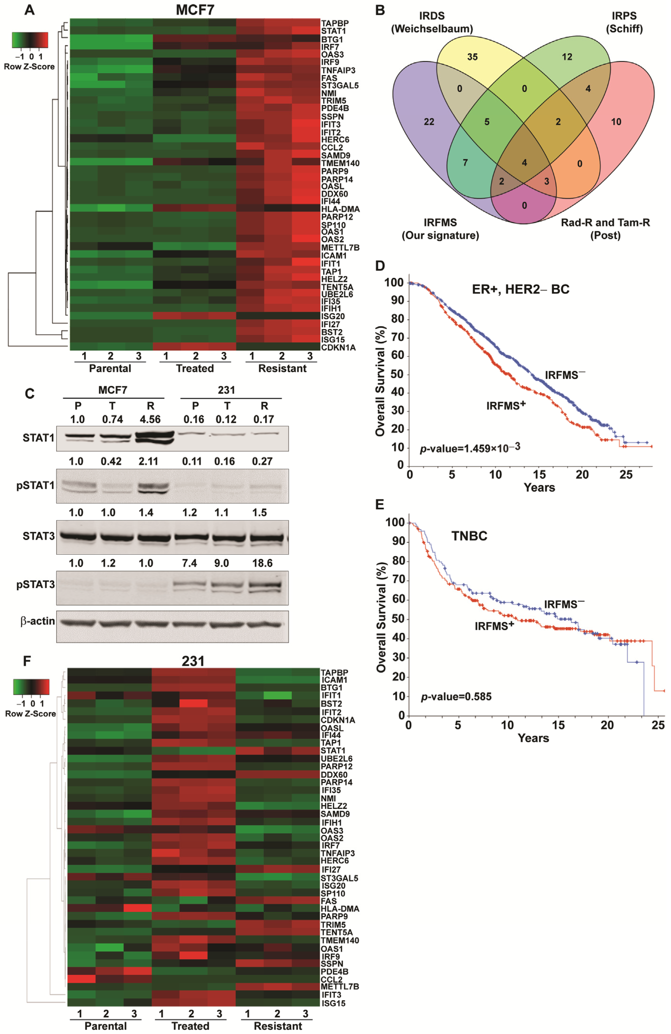 Cancers 13 06282 g003
