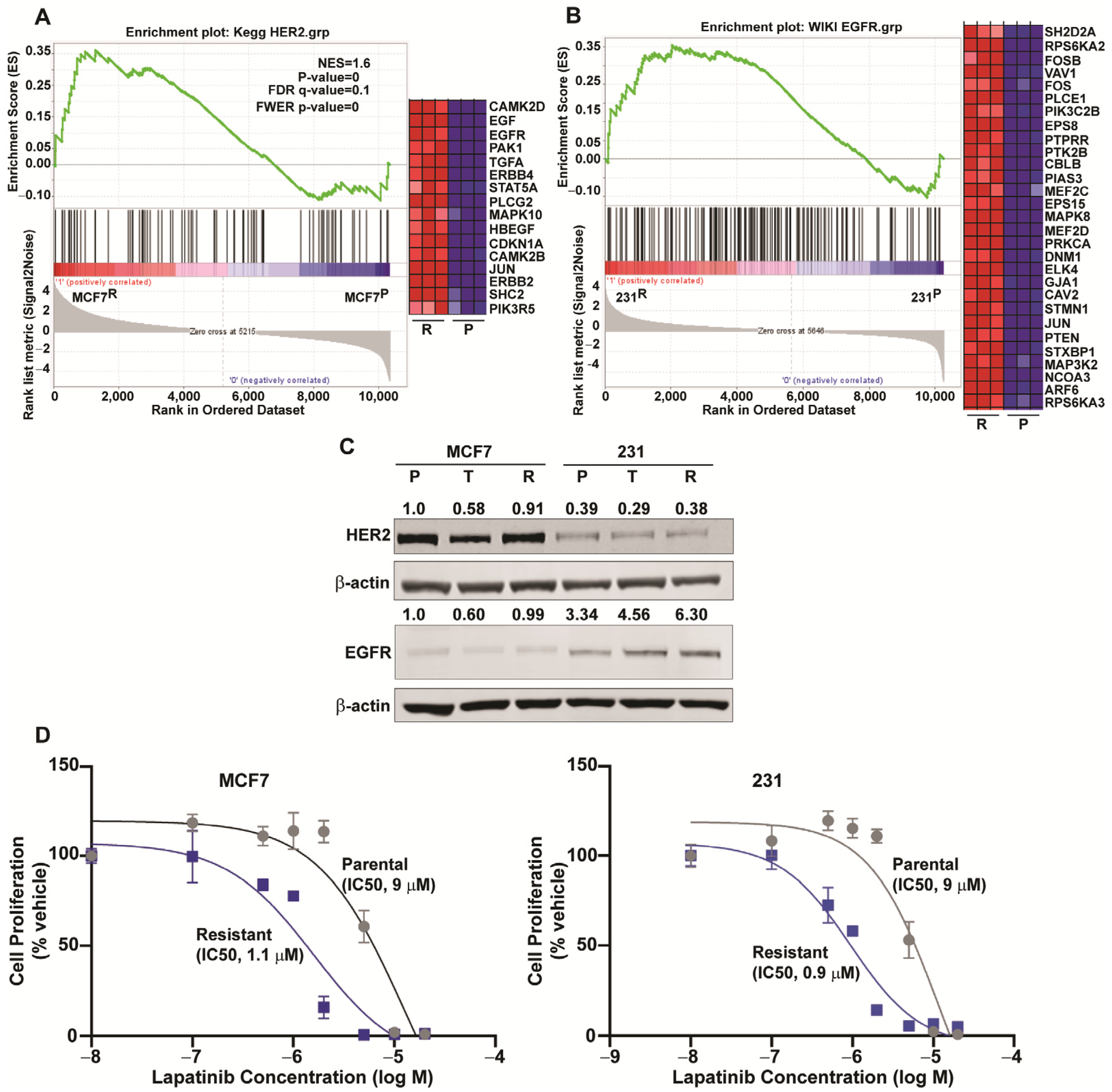 Cancers 13 06282 g005