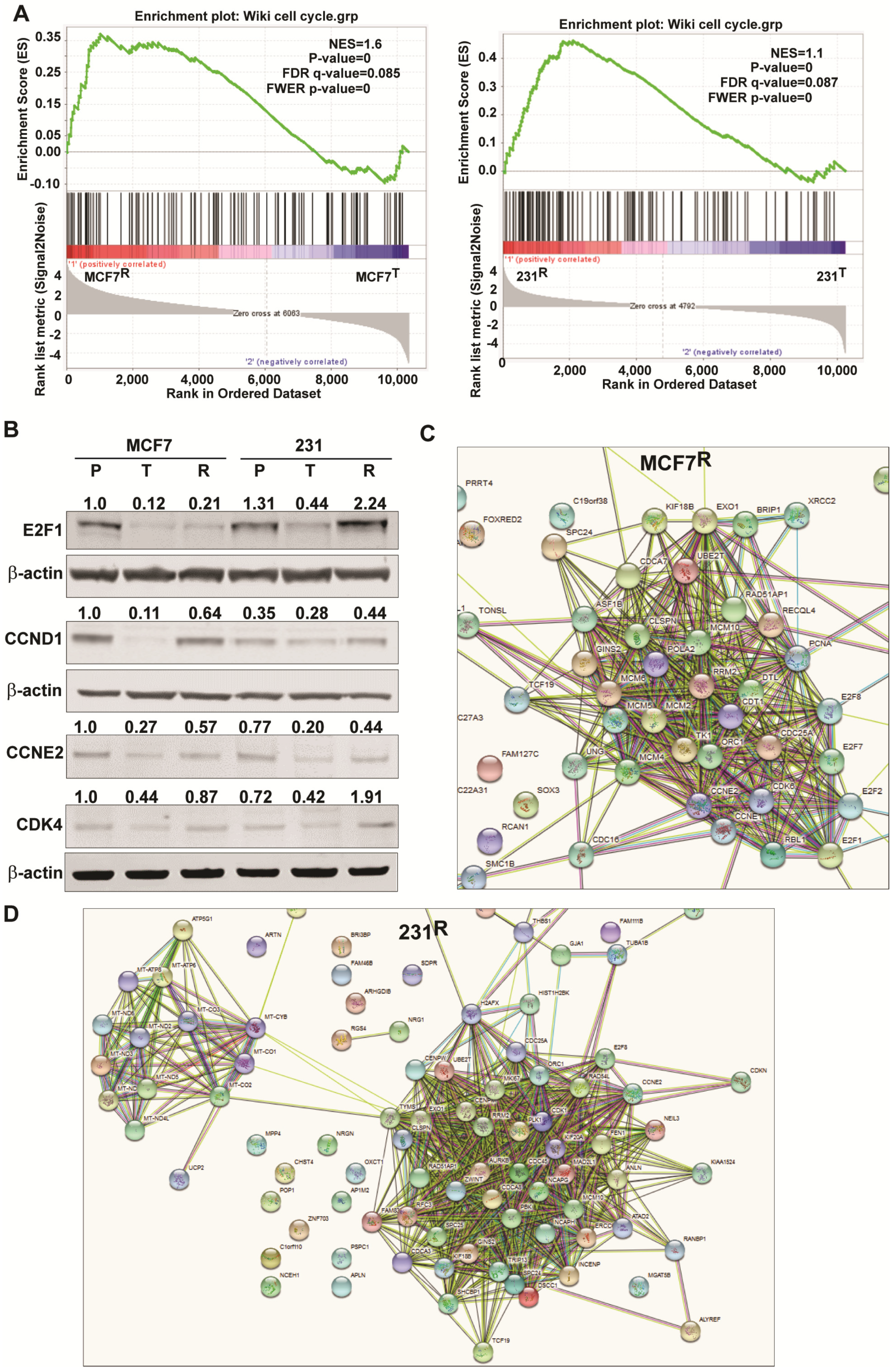 Cancers 13 06282 g006