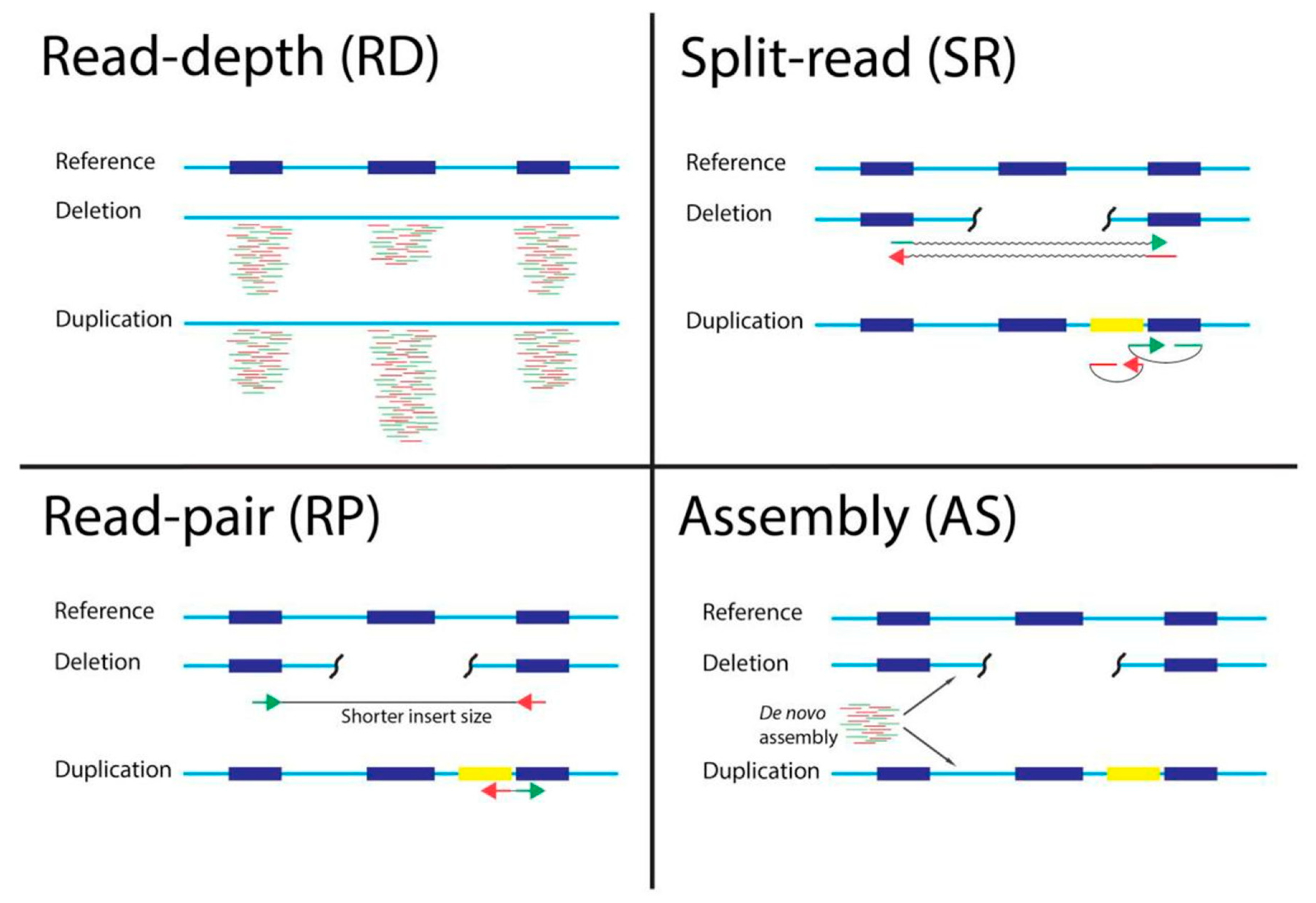 Cancers 13 06283 g001