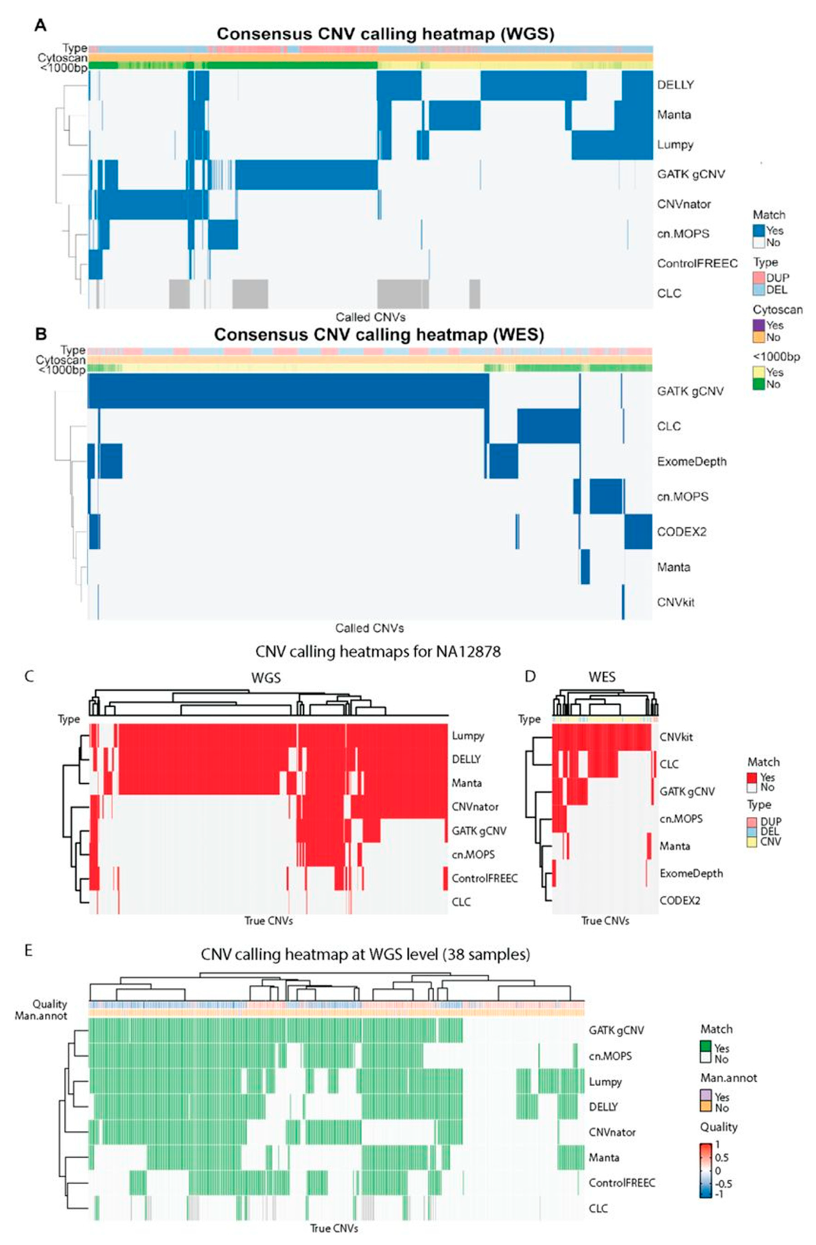 Cancers 13 06283 g005