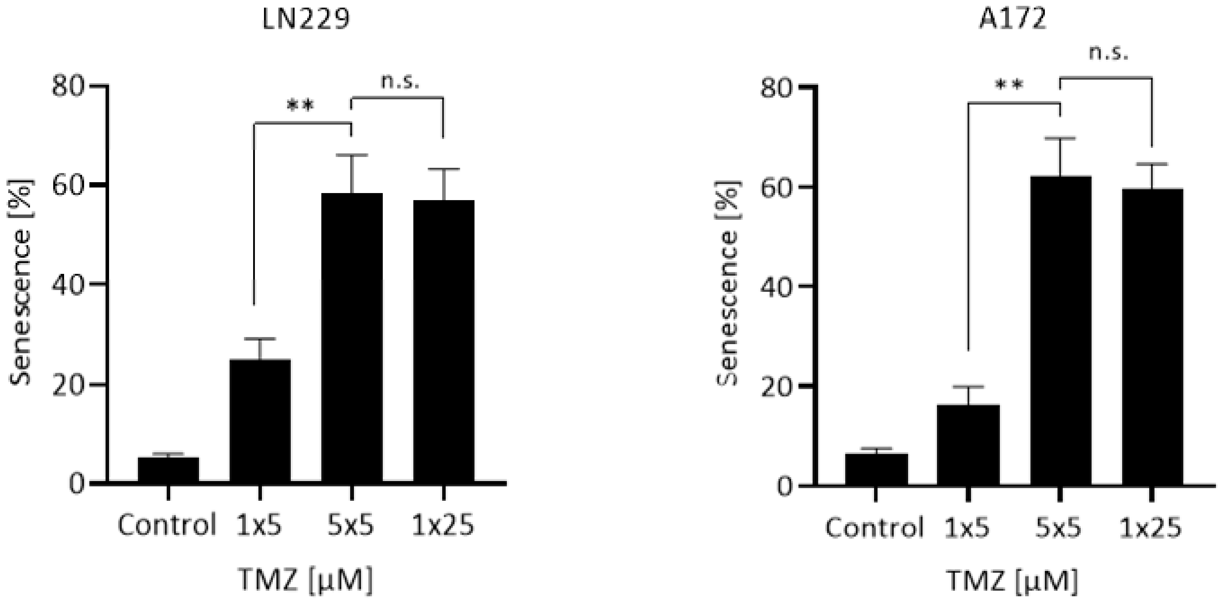 Cancers 13 06287 g002