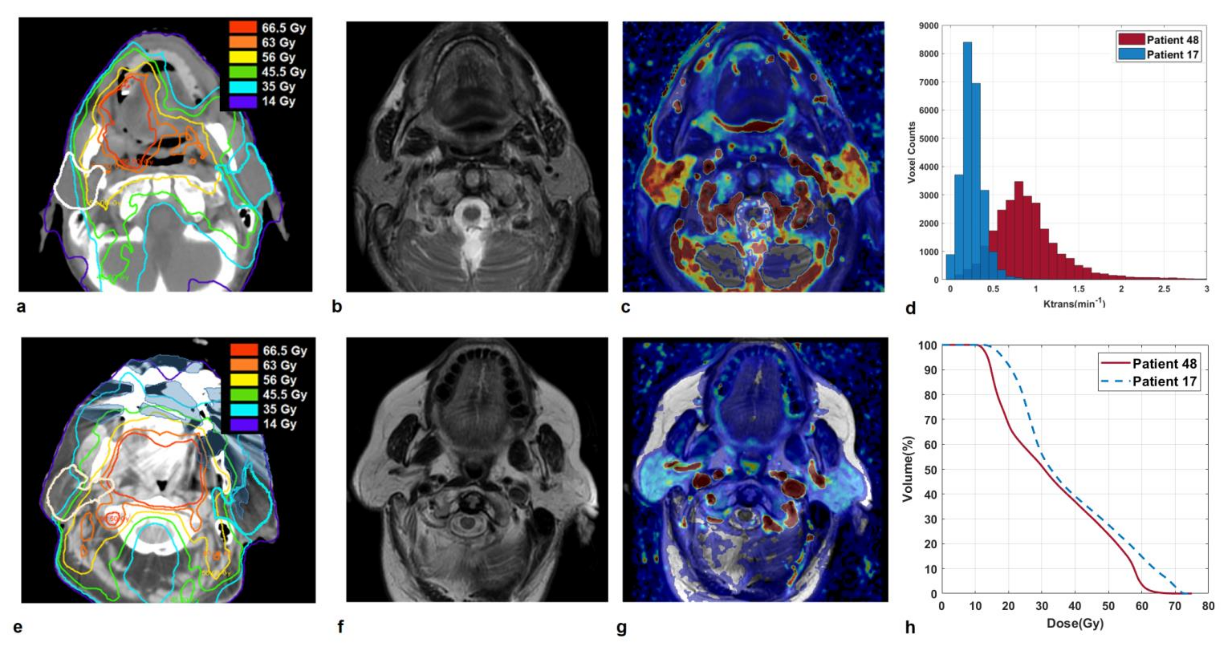 Cancers 13 06296 g002