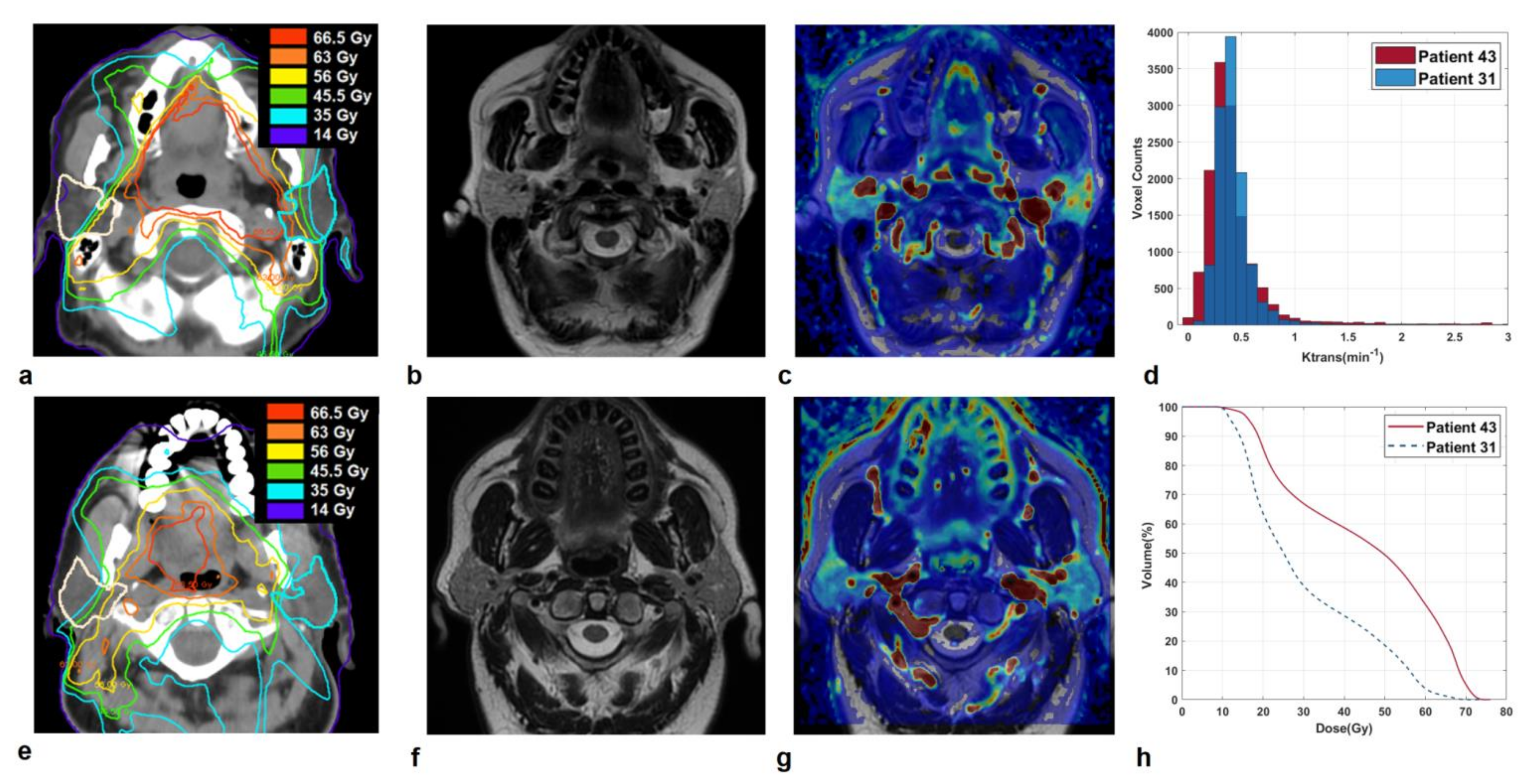 Cancers 13 06296 g003