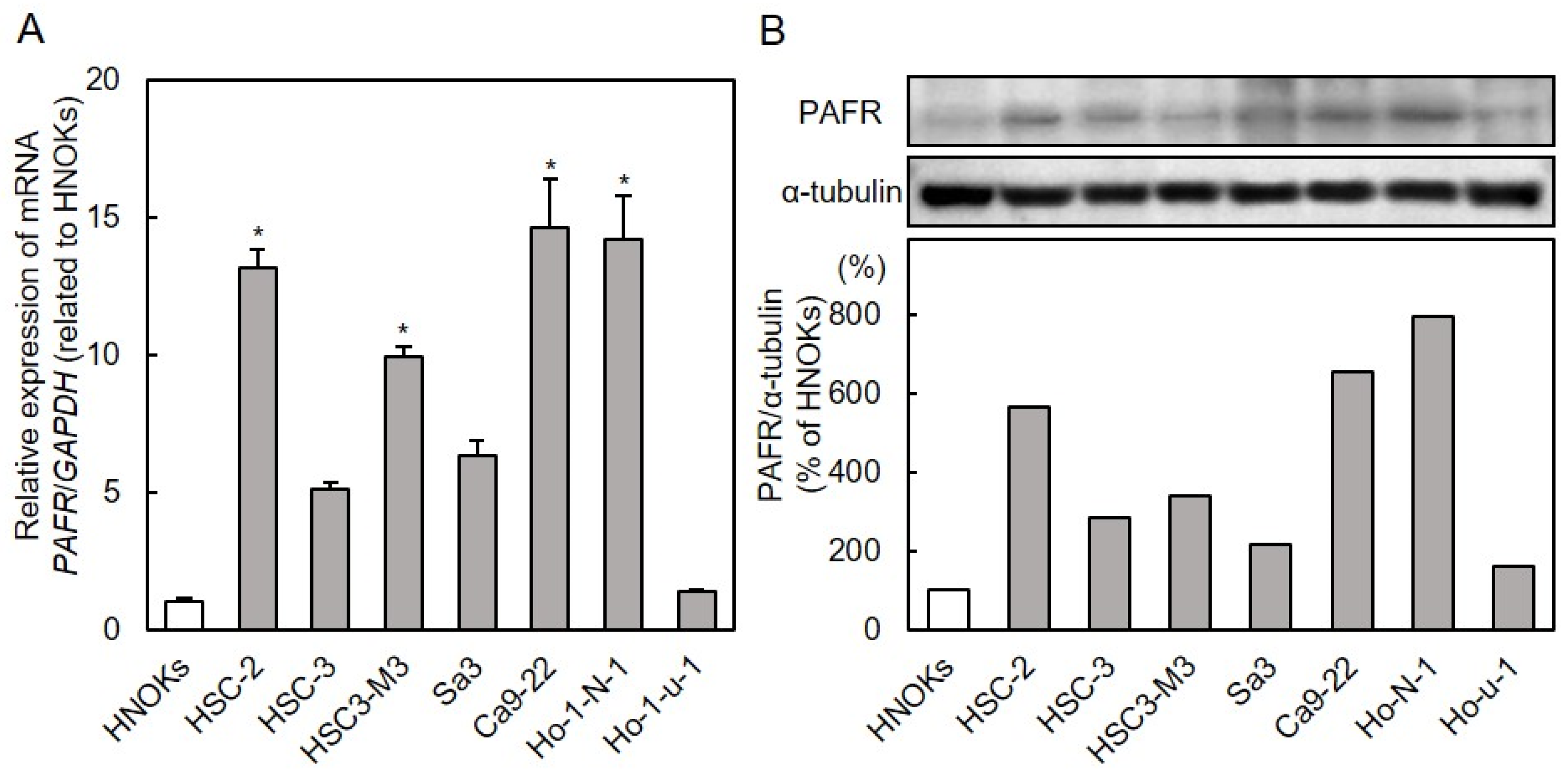 Cancers 13 06299 g001
