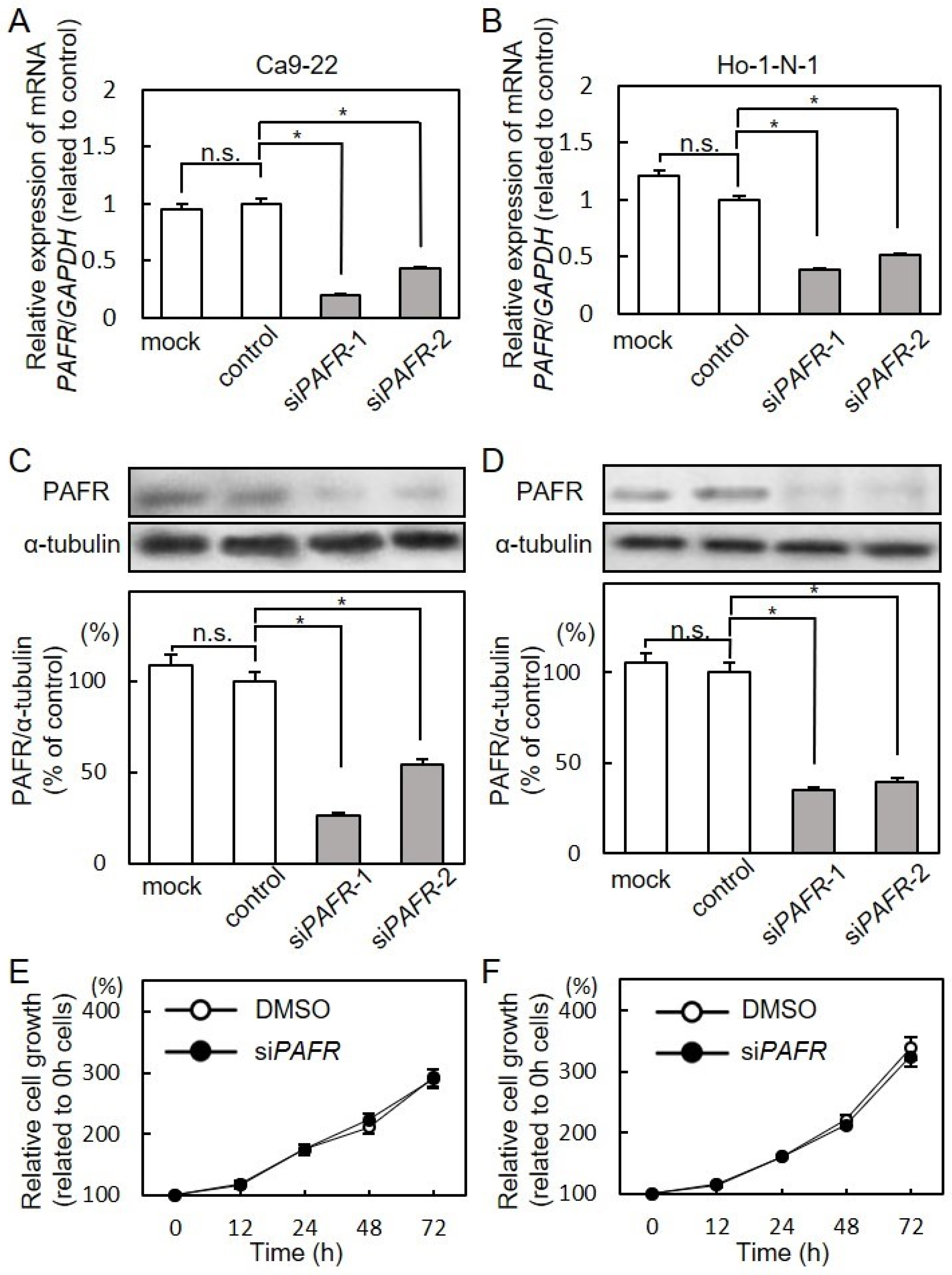Cancers 13 06299 g003