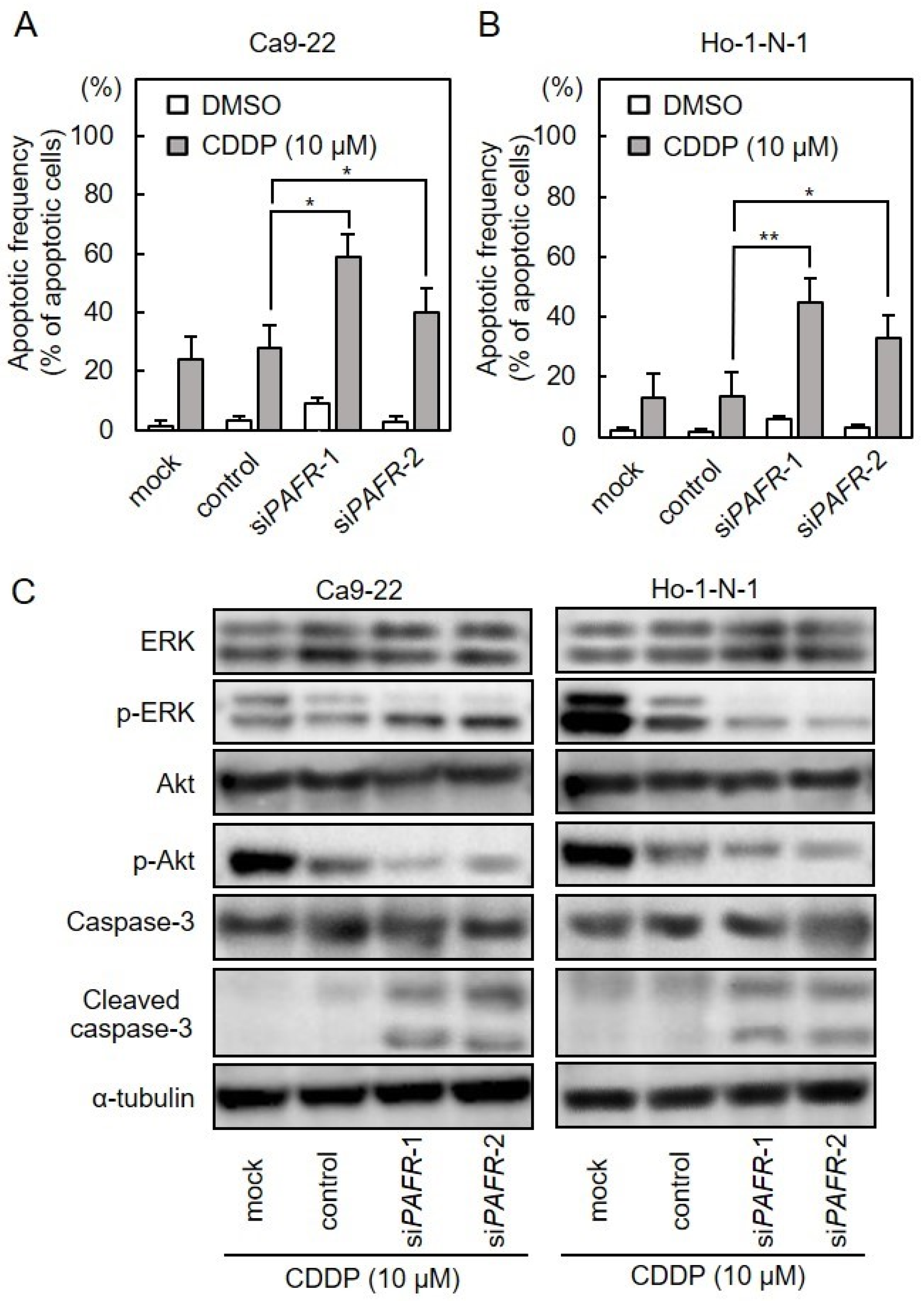 Cancers 13 06299 g005
