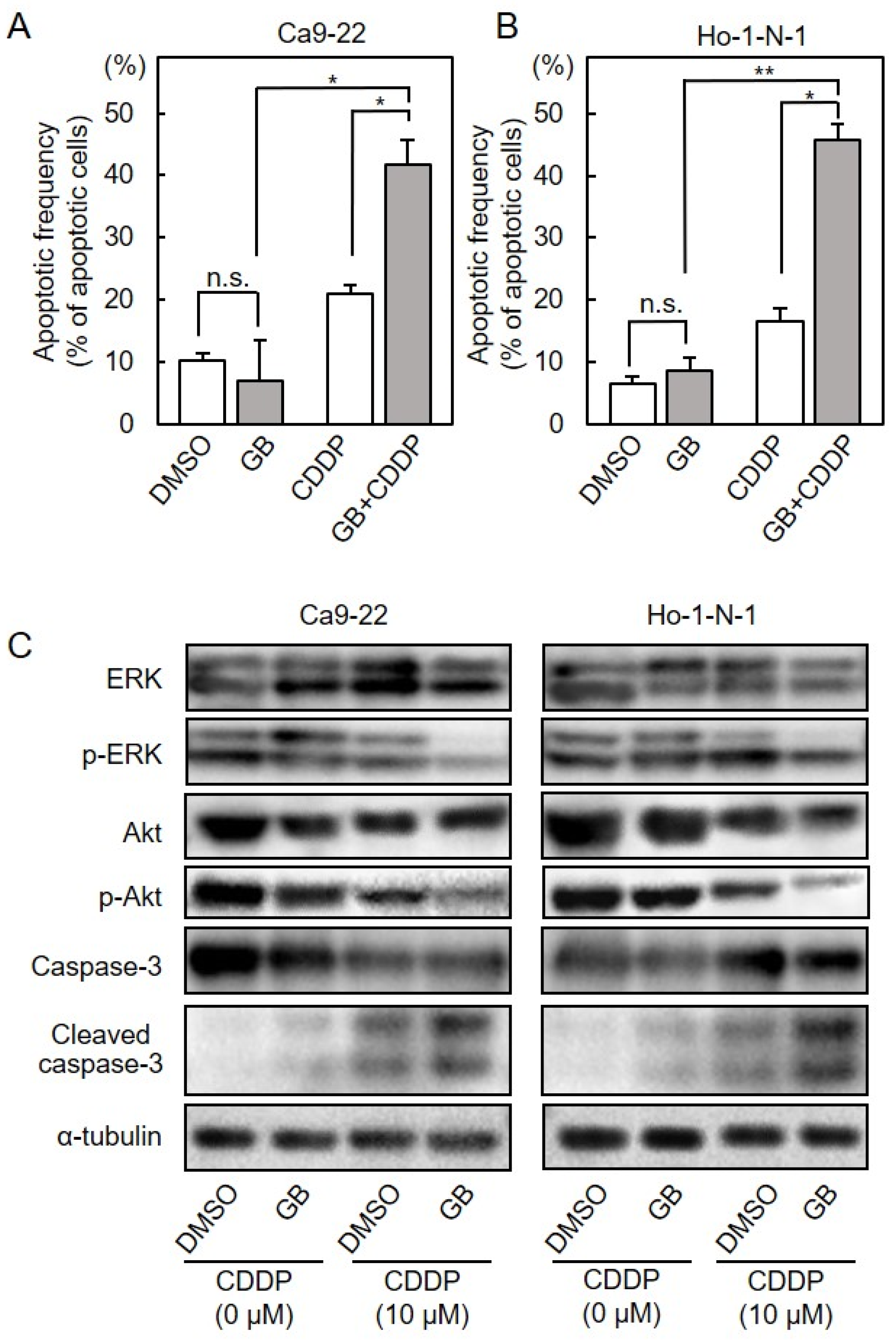 Cancers 13 06299 g008