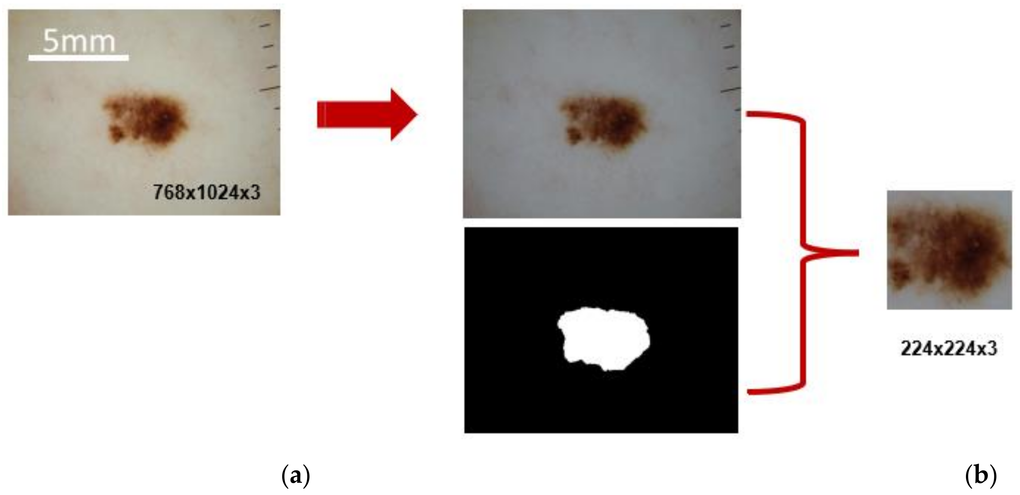 Cancers 13 06300 g004