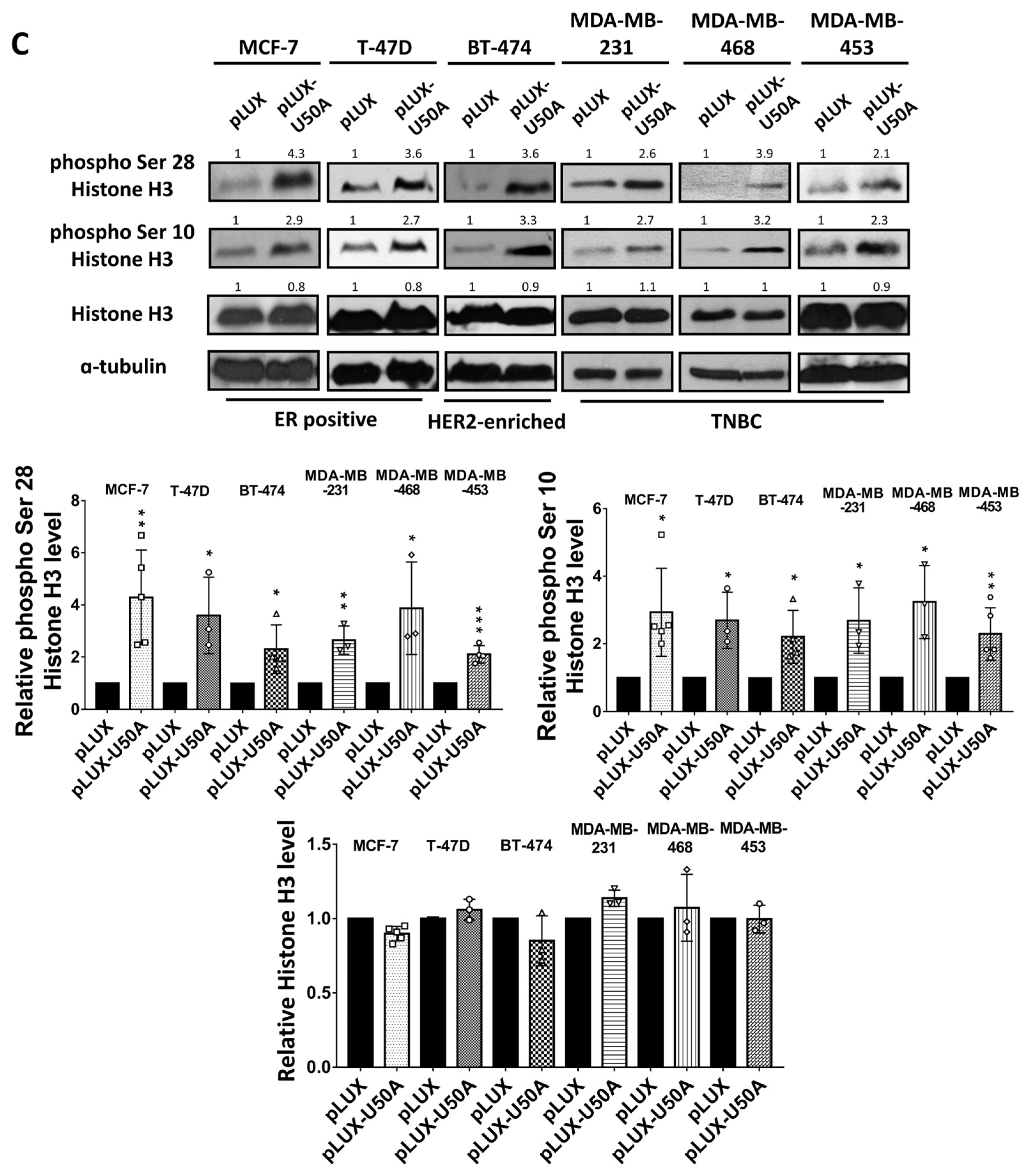 Cancers 13 06304 g003b