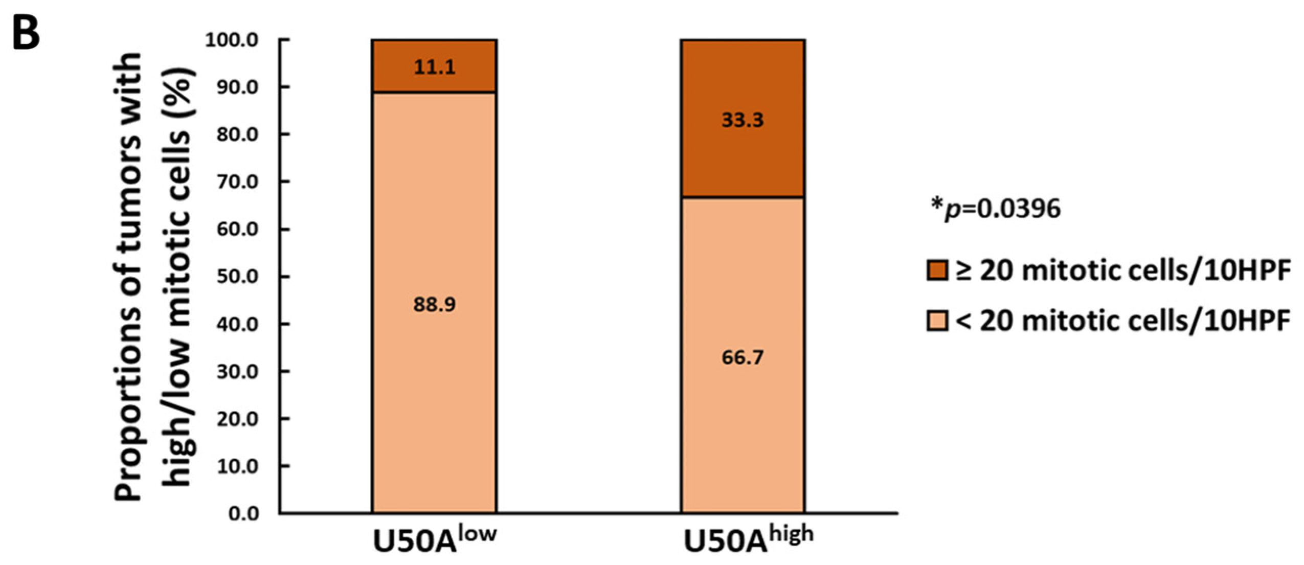 Cancers 13 06304 g005b
