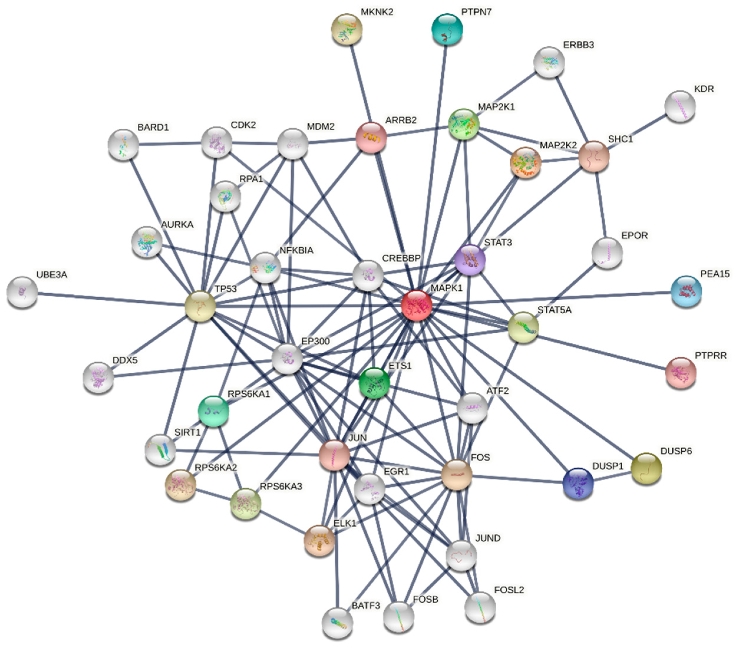 Cancers 13 06312 g001 Cancers 13 06312 g001