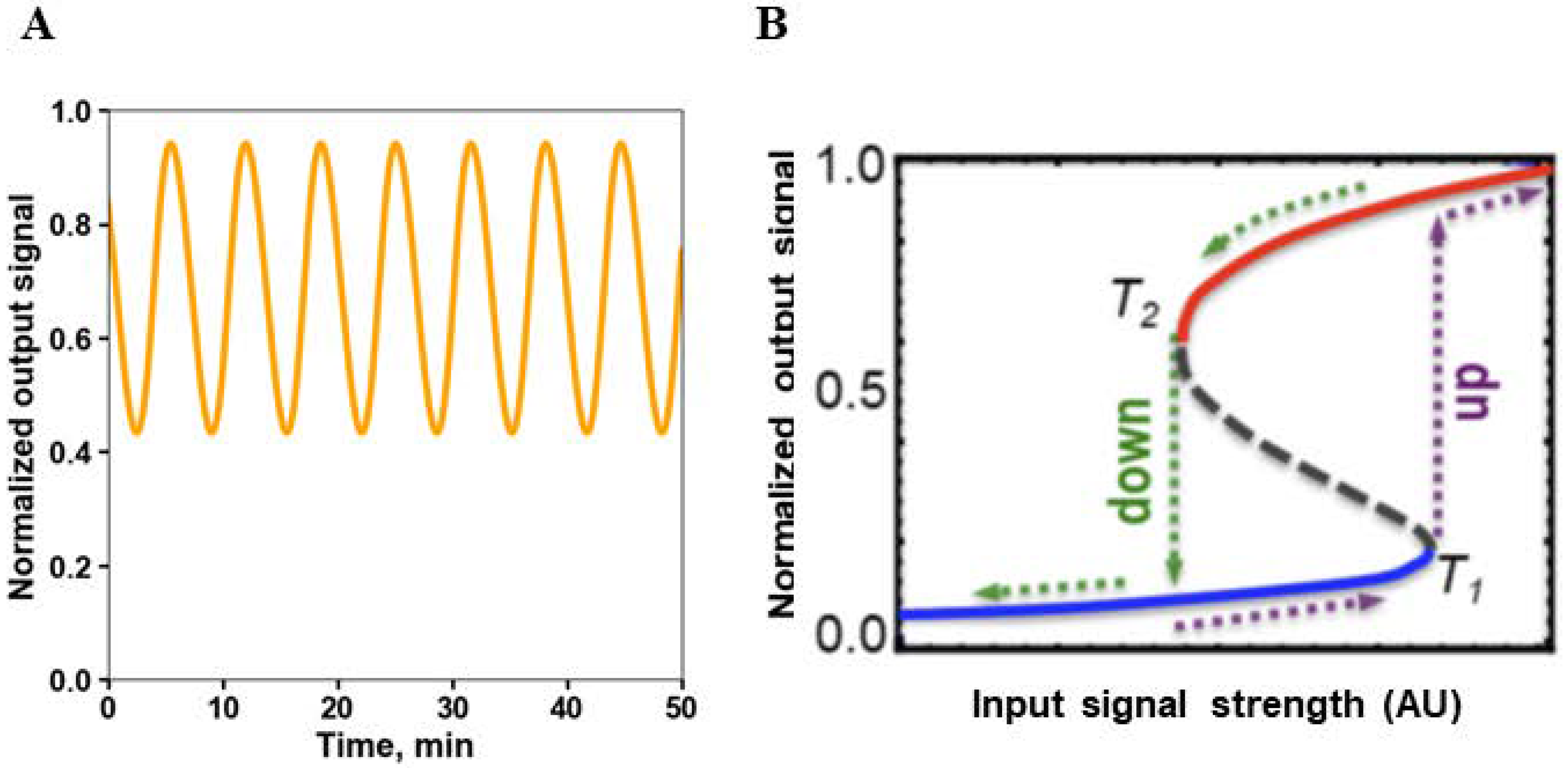 Cancers 13 06312 g003 Cancers 13 06312 g003