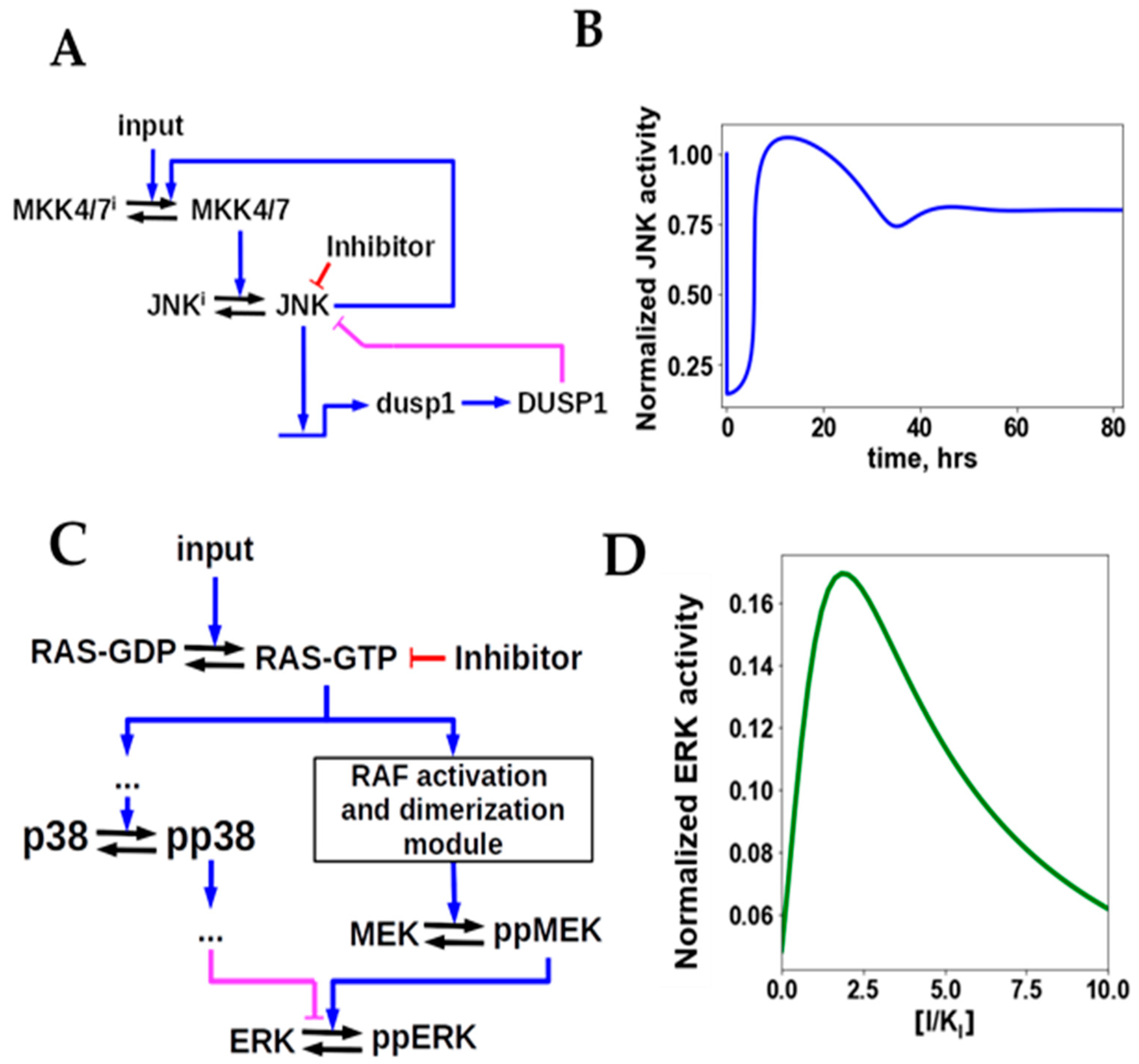 Cancers 13 06312 g004 Cancers 13 06312 g004