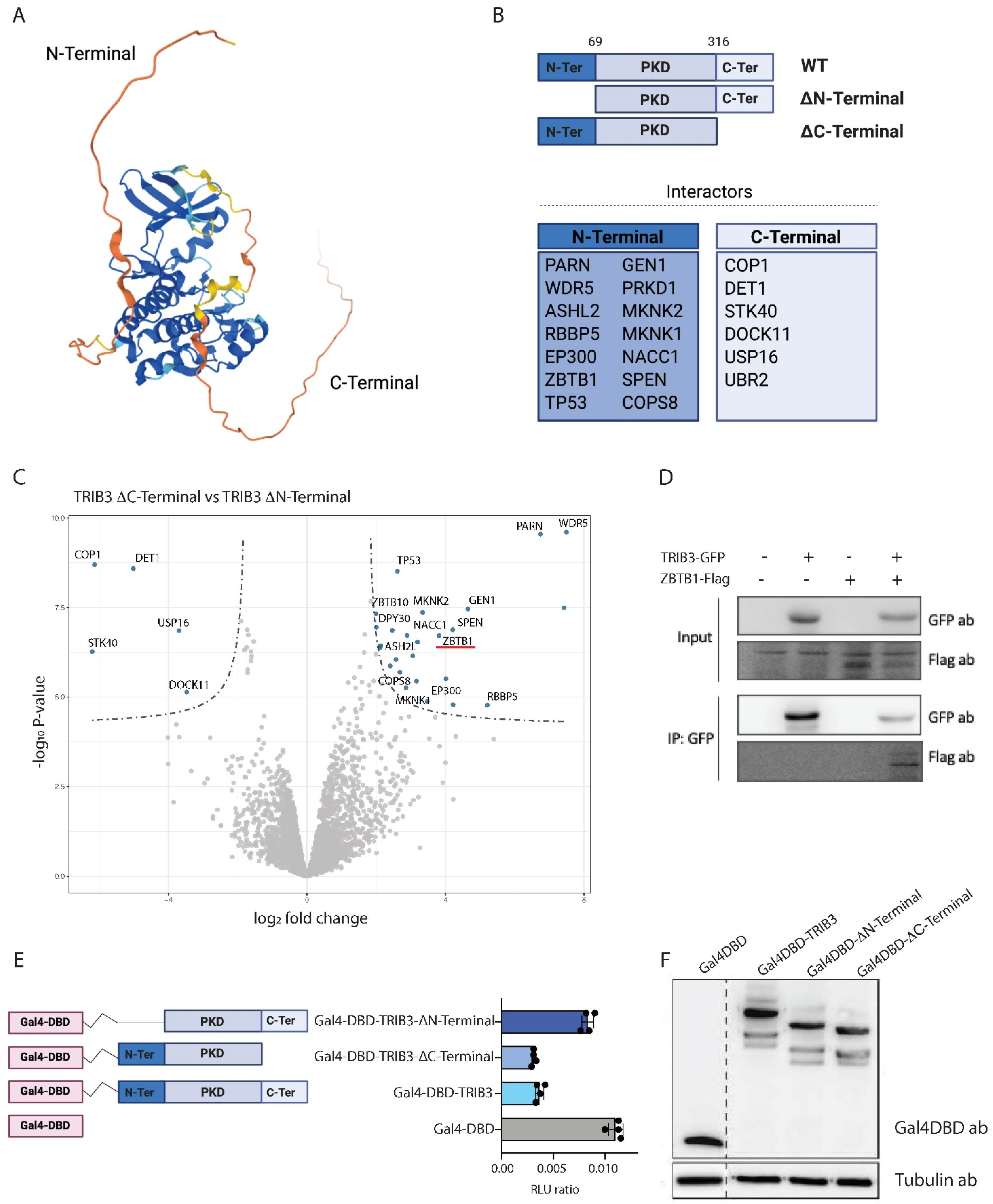 Cancers 13 06318 g002