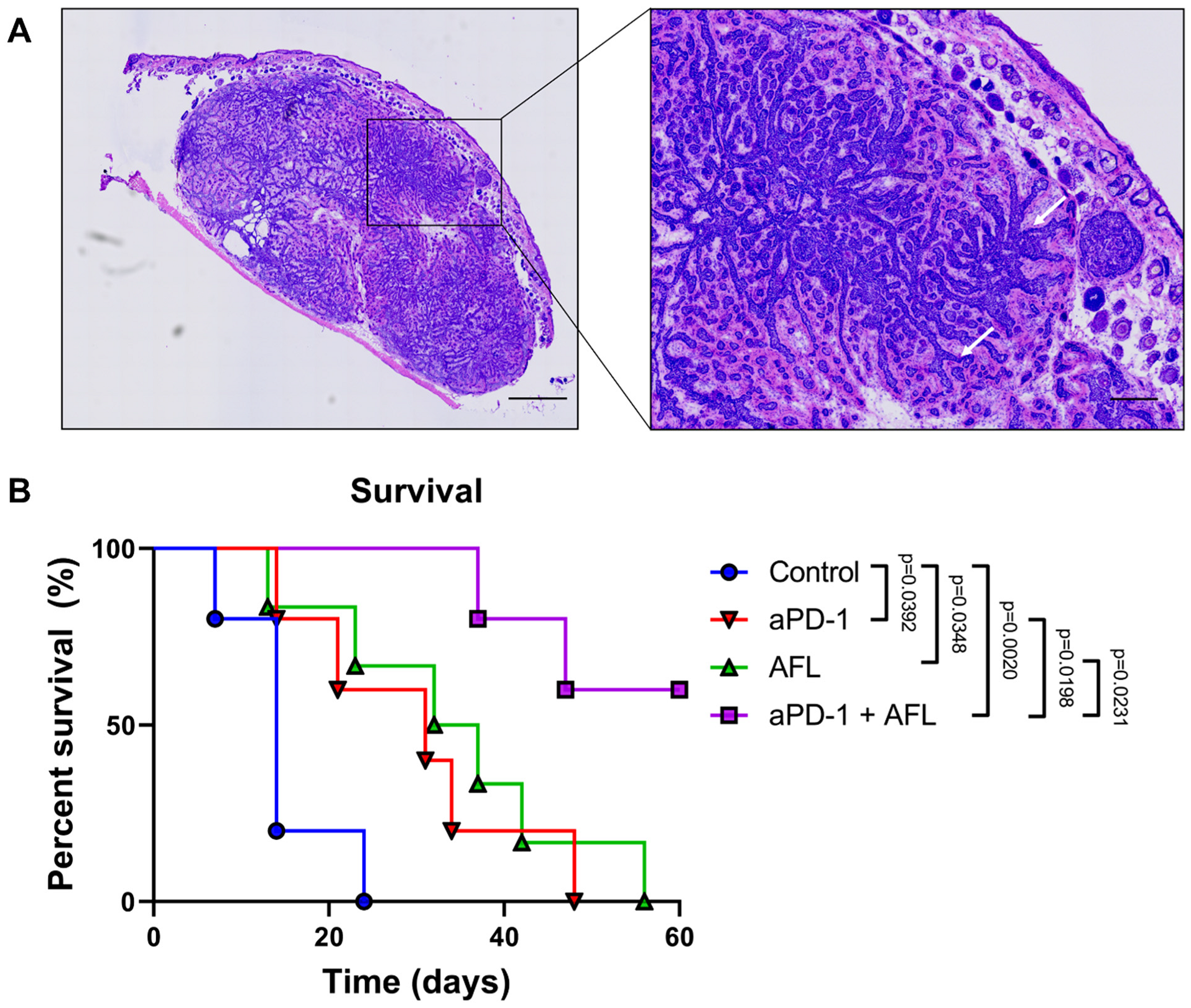 Cancers 13 06326 g001