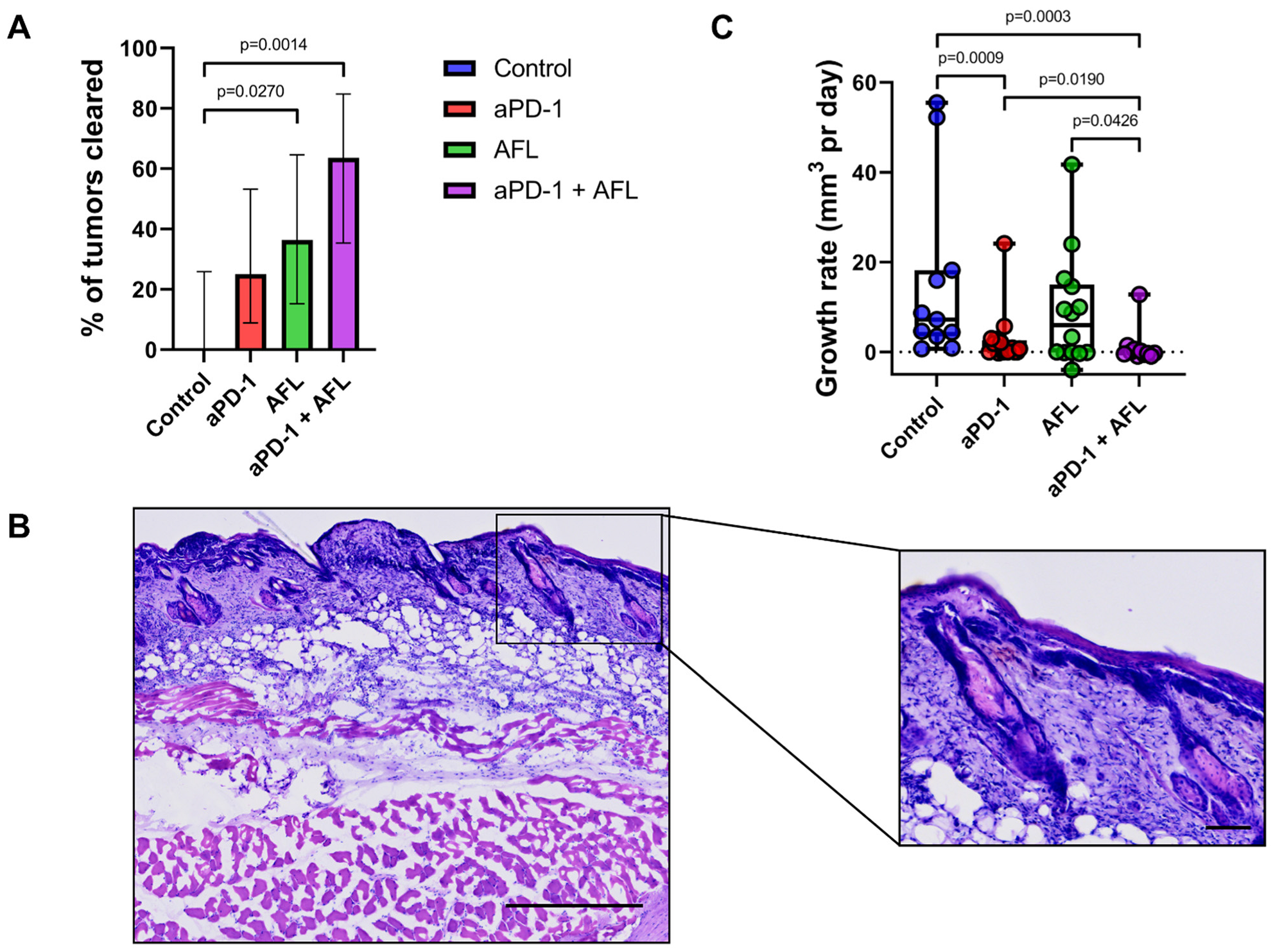 Cancers 13 06326 g002