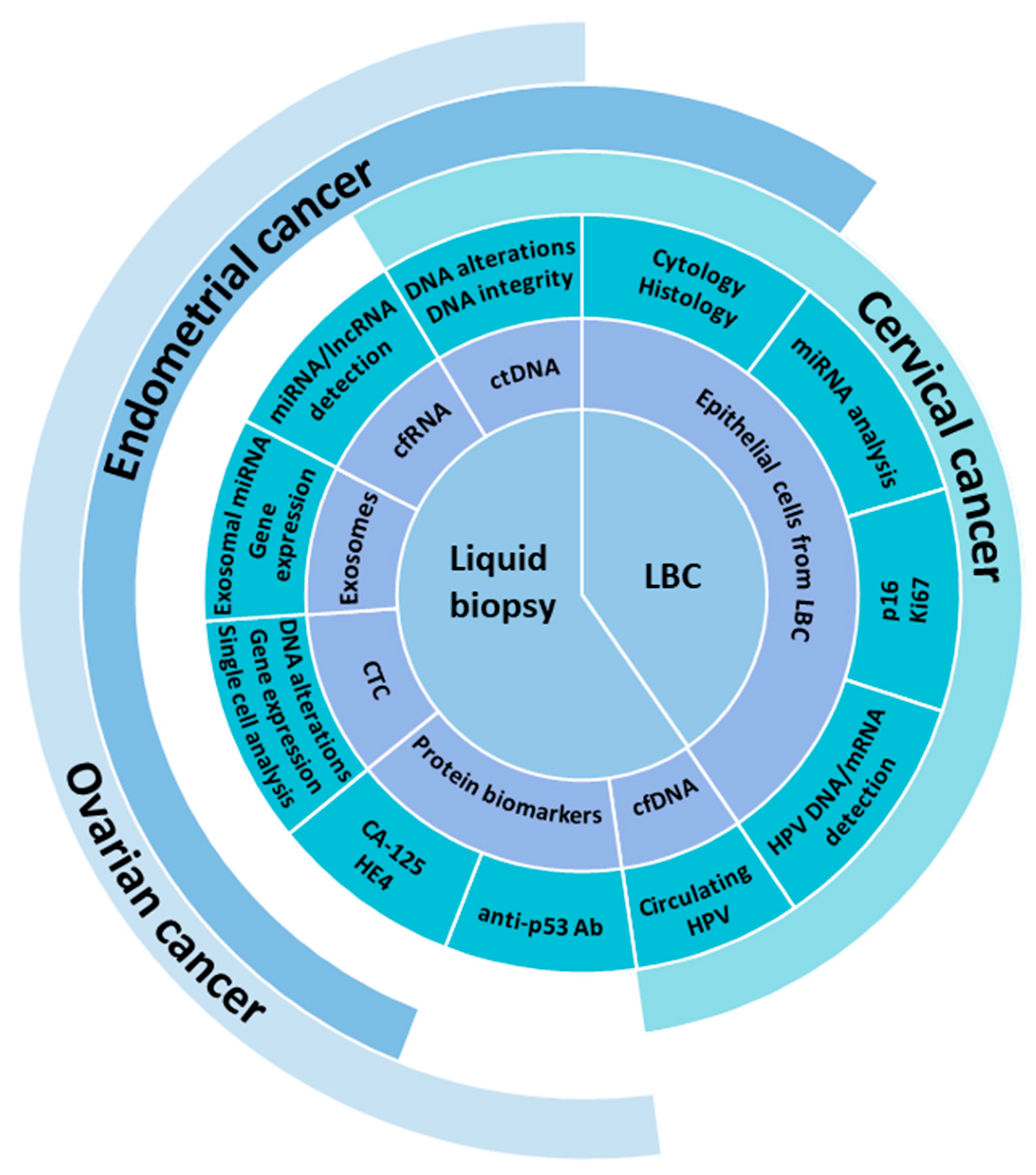 Cancers 13 06339 g001 Cancers 13 06339 g001