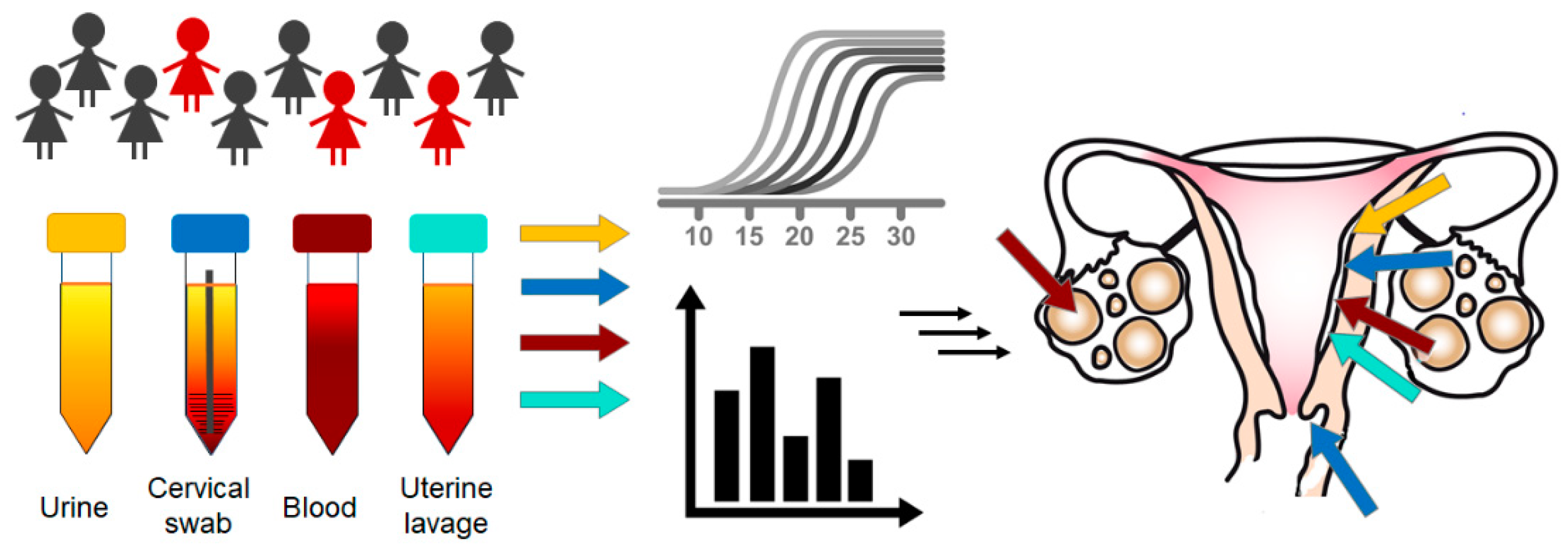 Cancers 13 06339 g002 Cancers 13 06339 g002