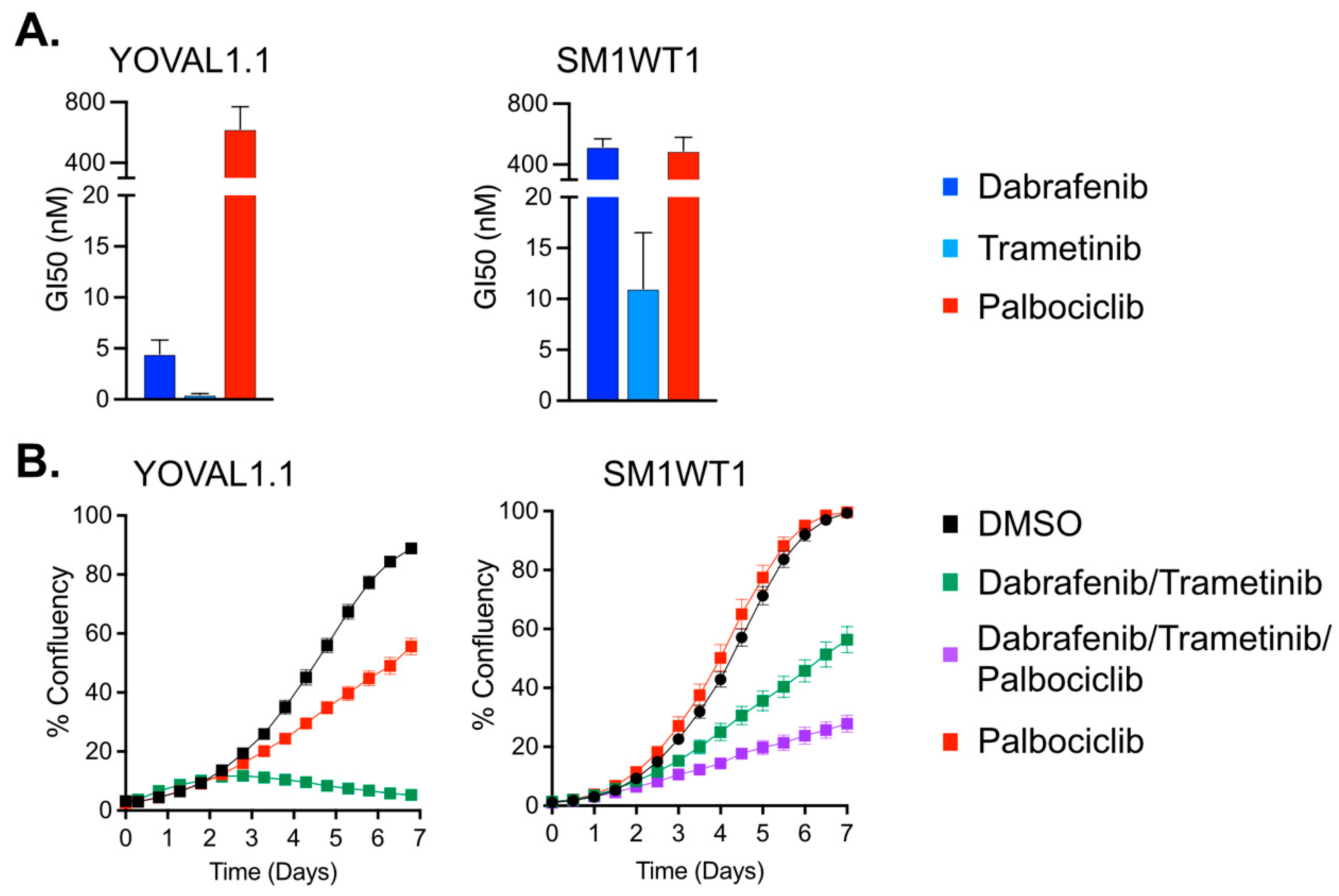 Cancers 13 06342 g001