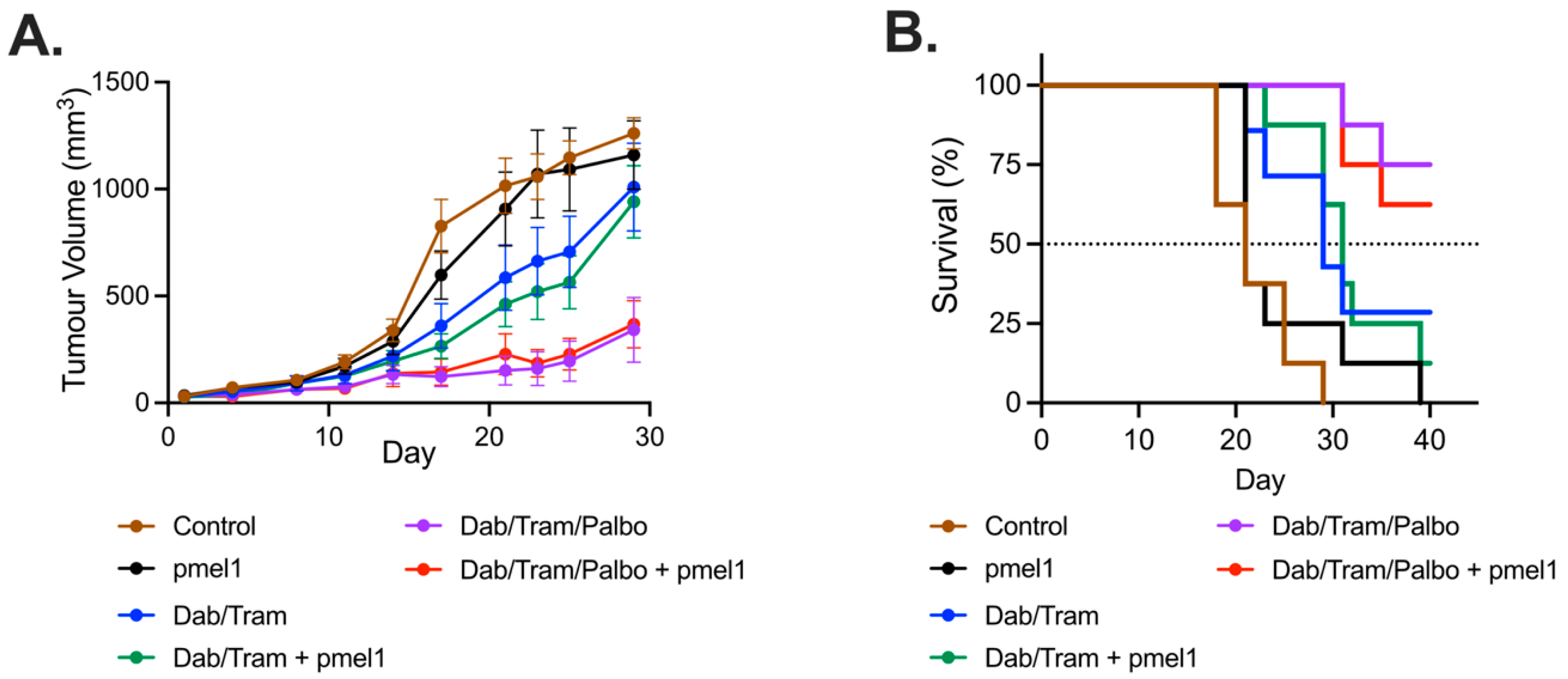 Cancers 13 06342 g003