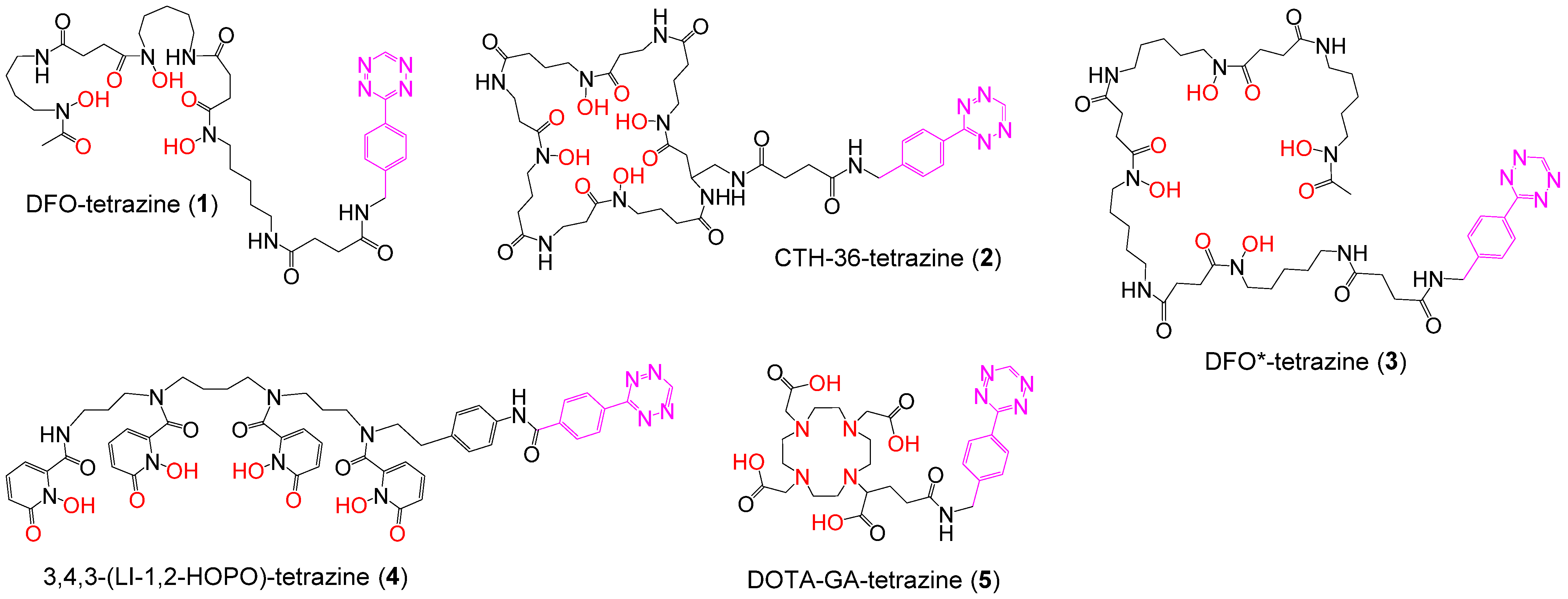 Cancers 13 06349 g002