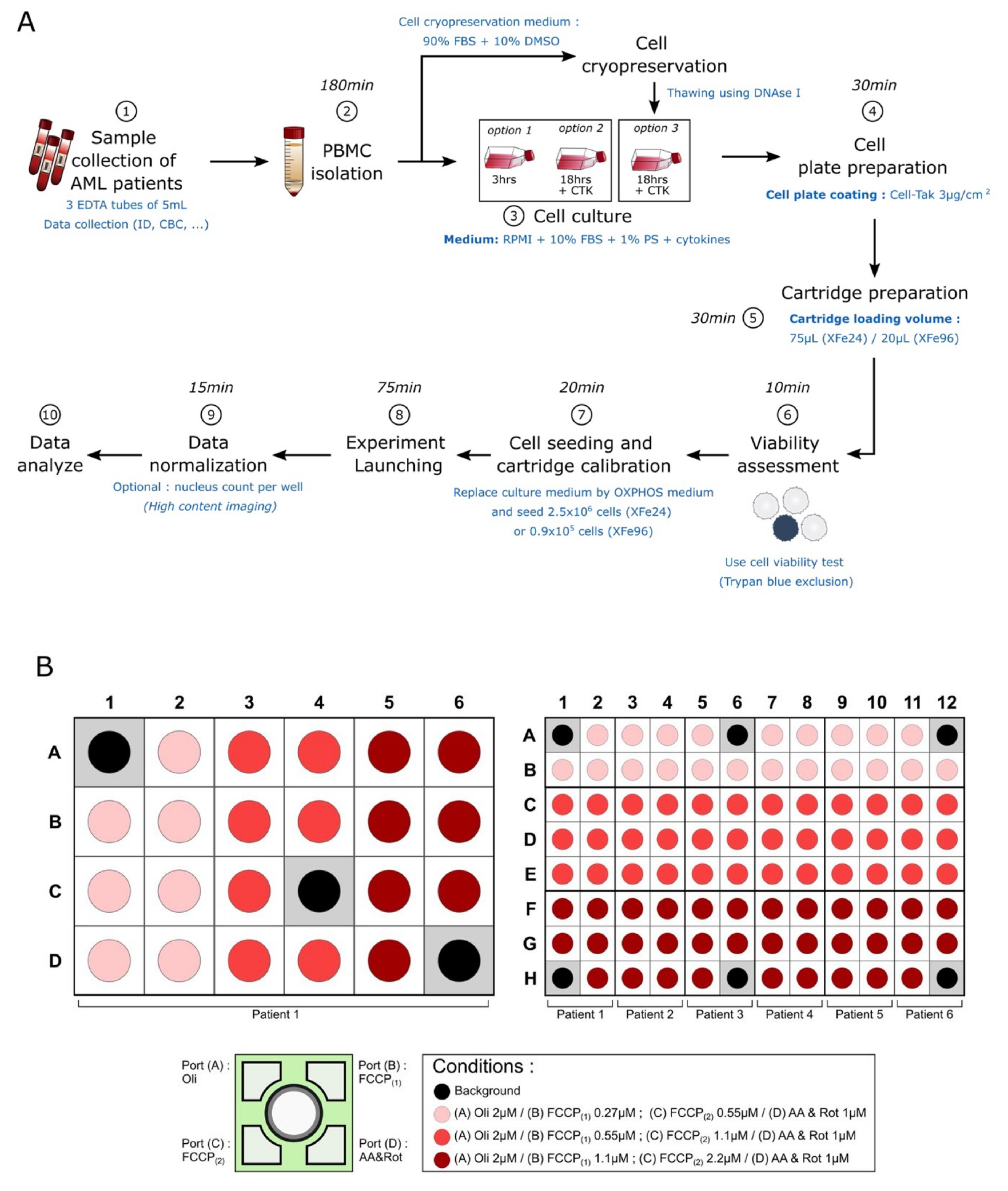 Cancers 13 06353 g007