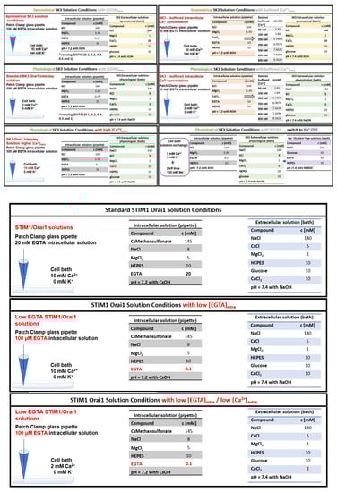 Cancers 13 06357 g0a1 550