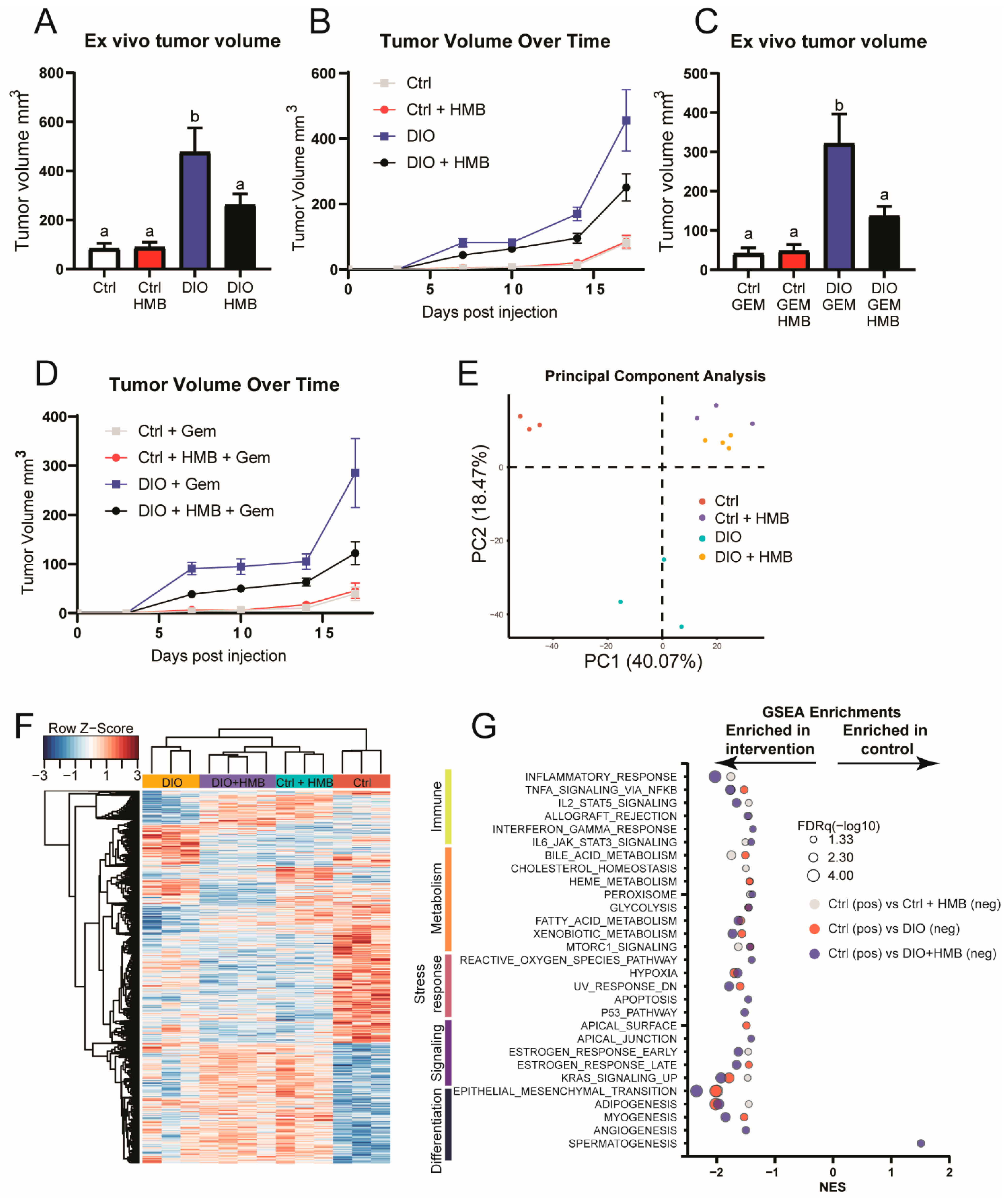 Cancers 13 06359 g001