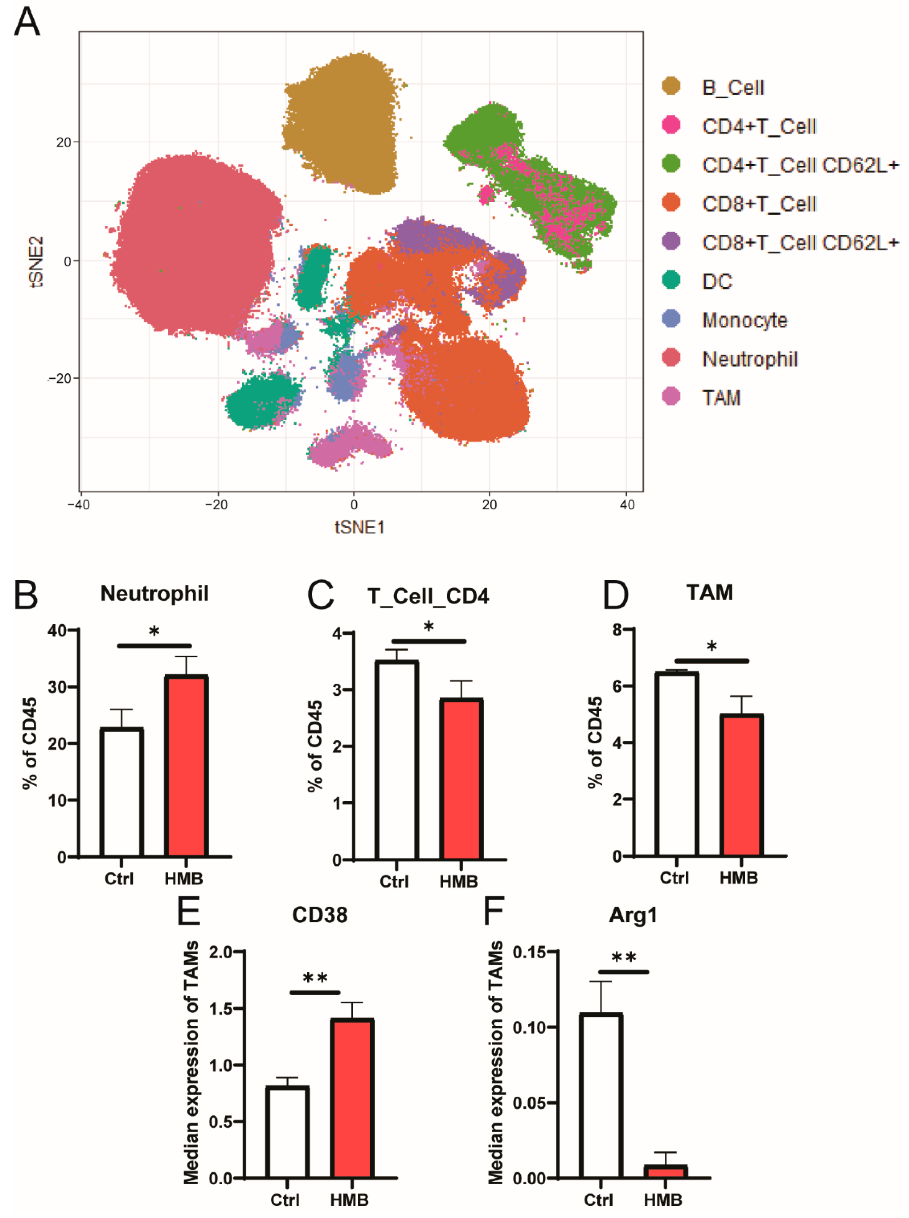 Cancers 13 06359 g005