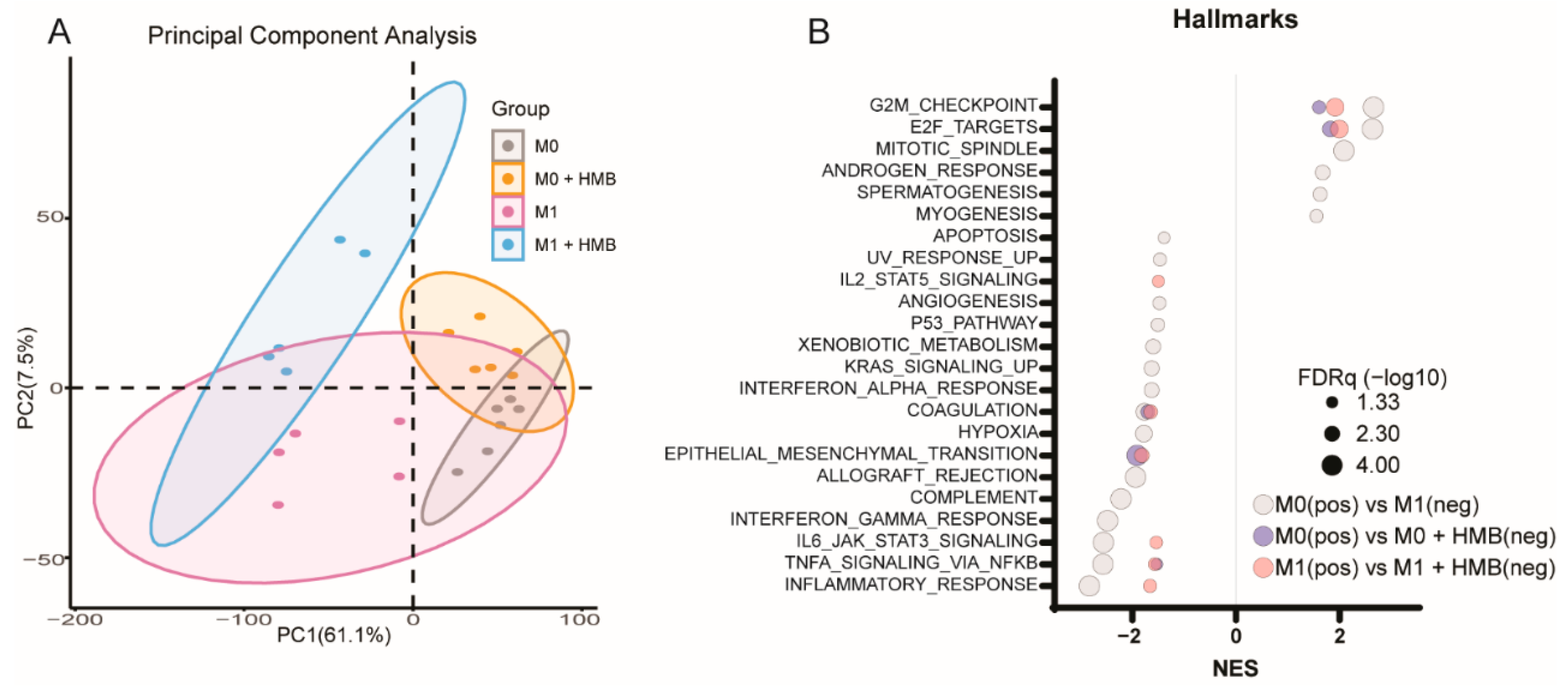 Cancers 13 06359 g006