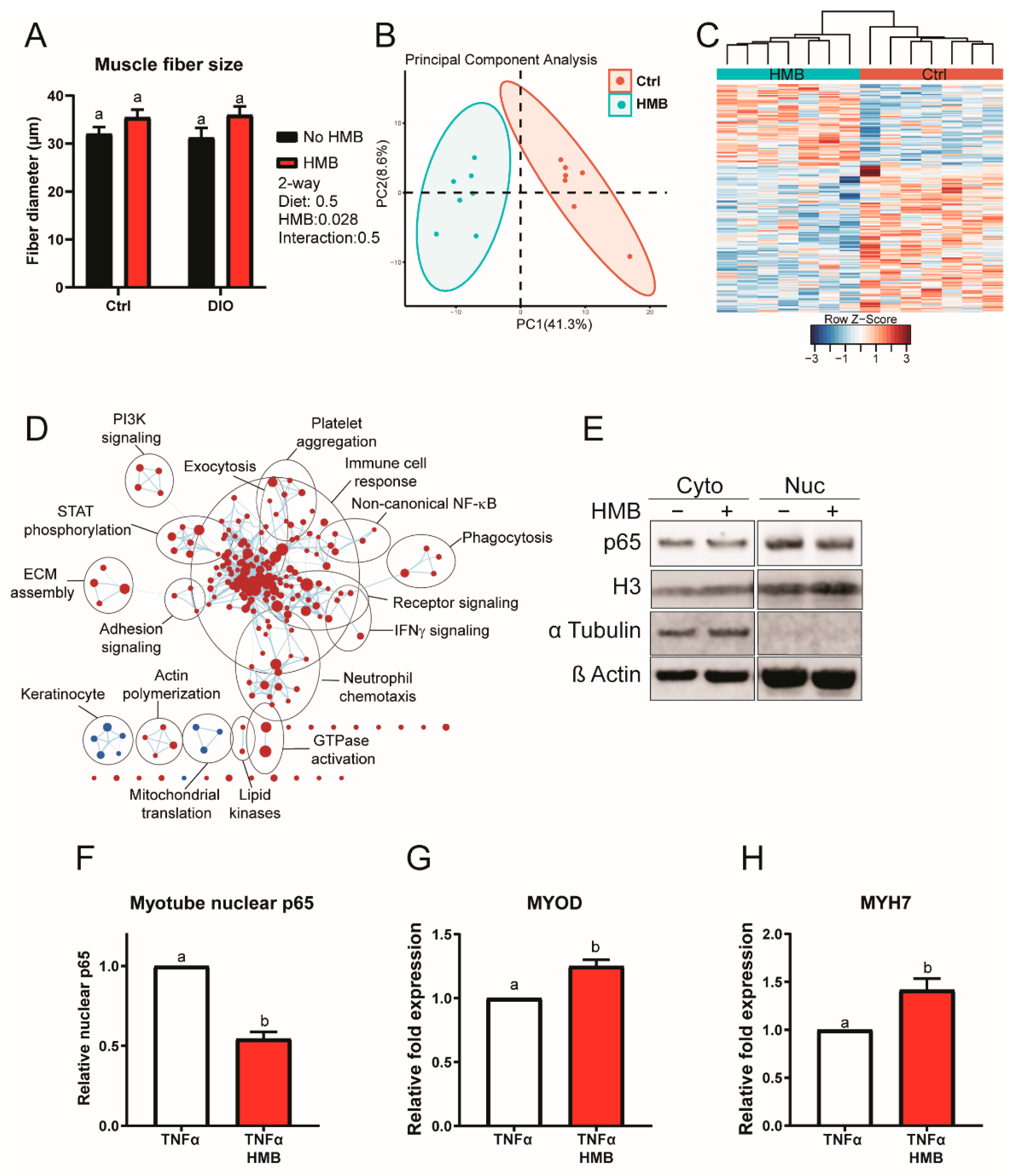 Cancers 13 06359 g007
