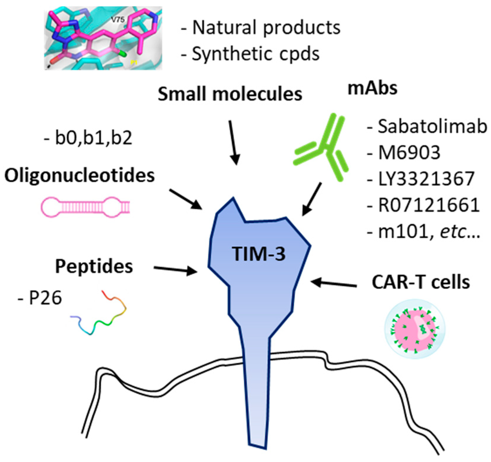 Cancers 13 06365 g003