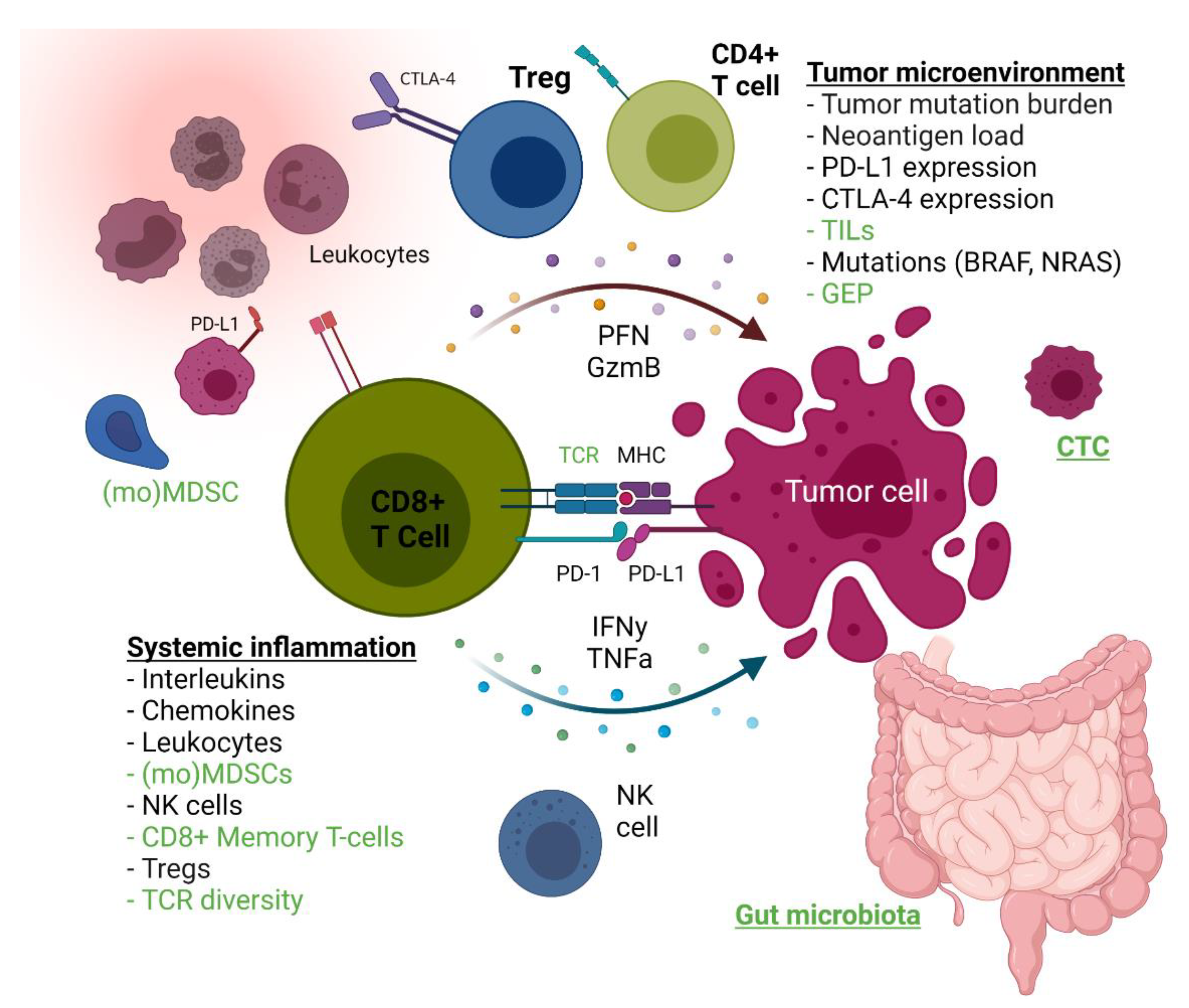 Cancers 13 06366 g004