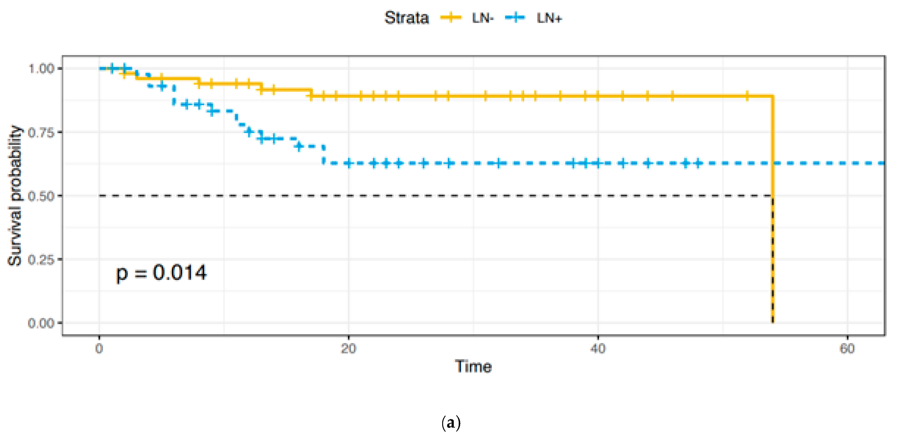 Cancers 13 06373 g001a Cancers 13 06373 g001a