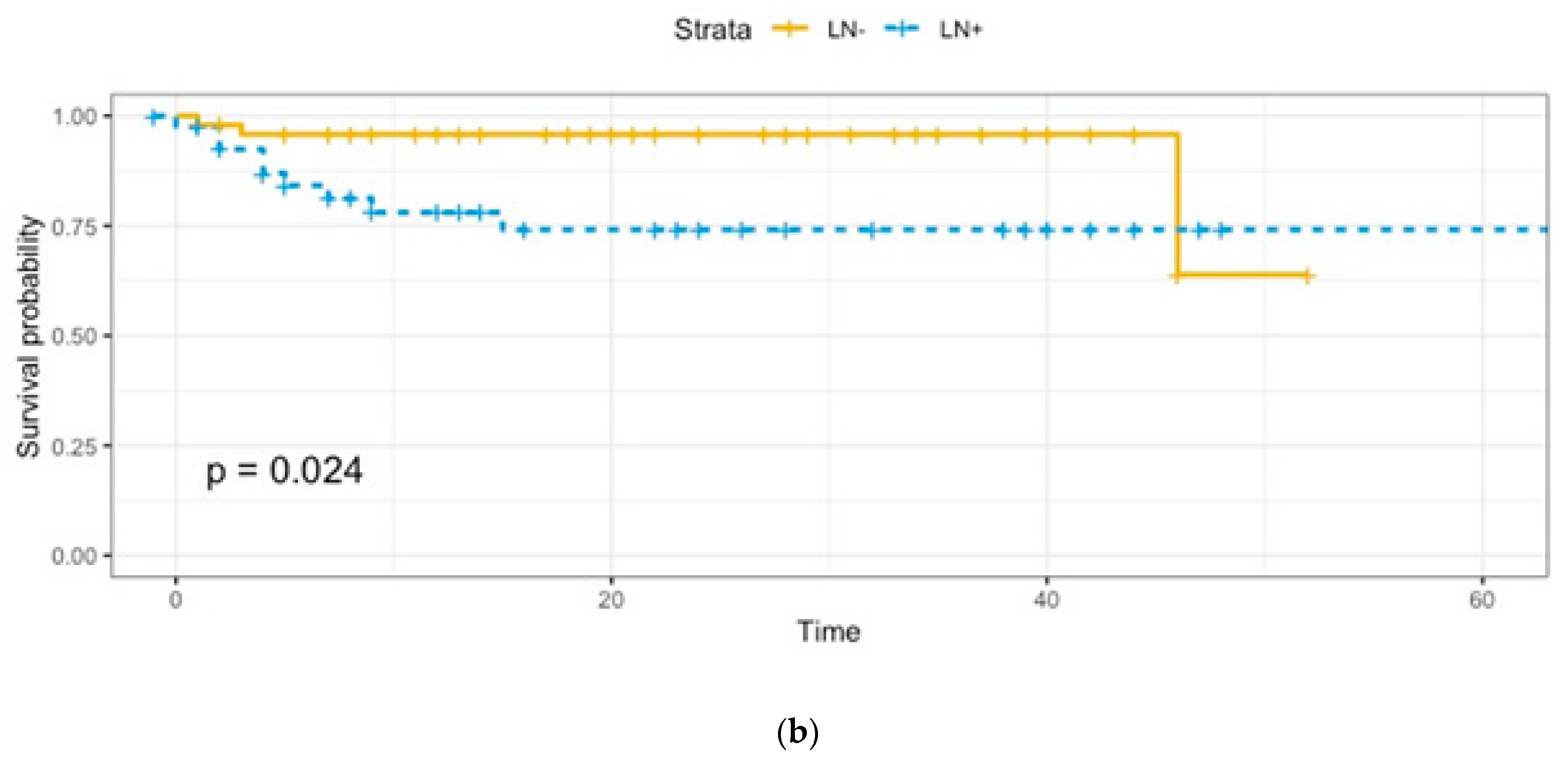 Cancers 13 06373 g001b Cancers 13 06373 g001b
