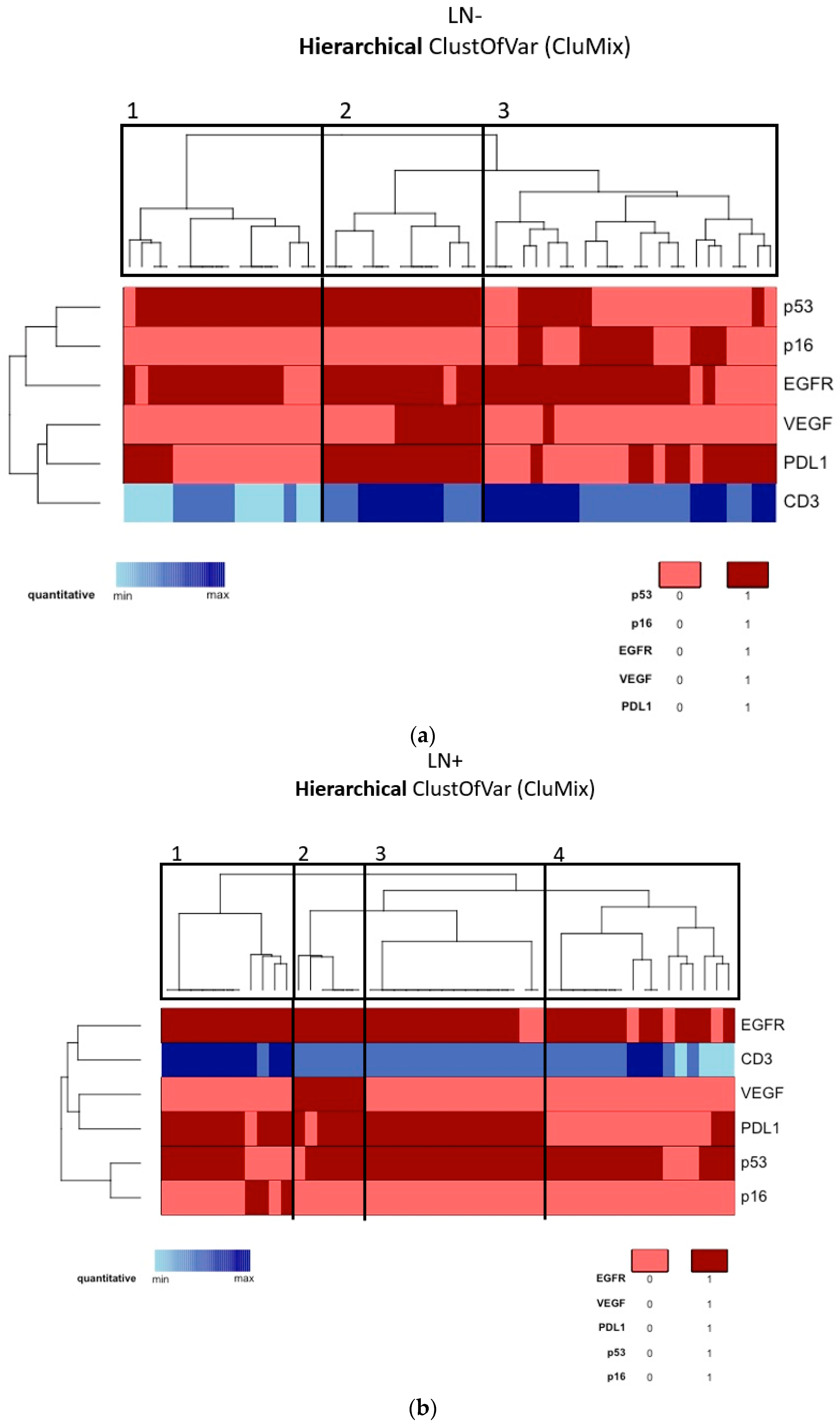 Cancers 13 06373 g002 Cancers 13 06373 g002
