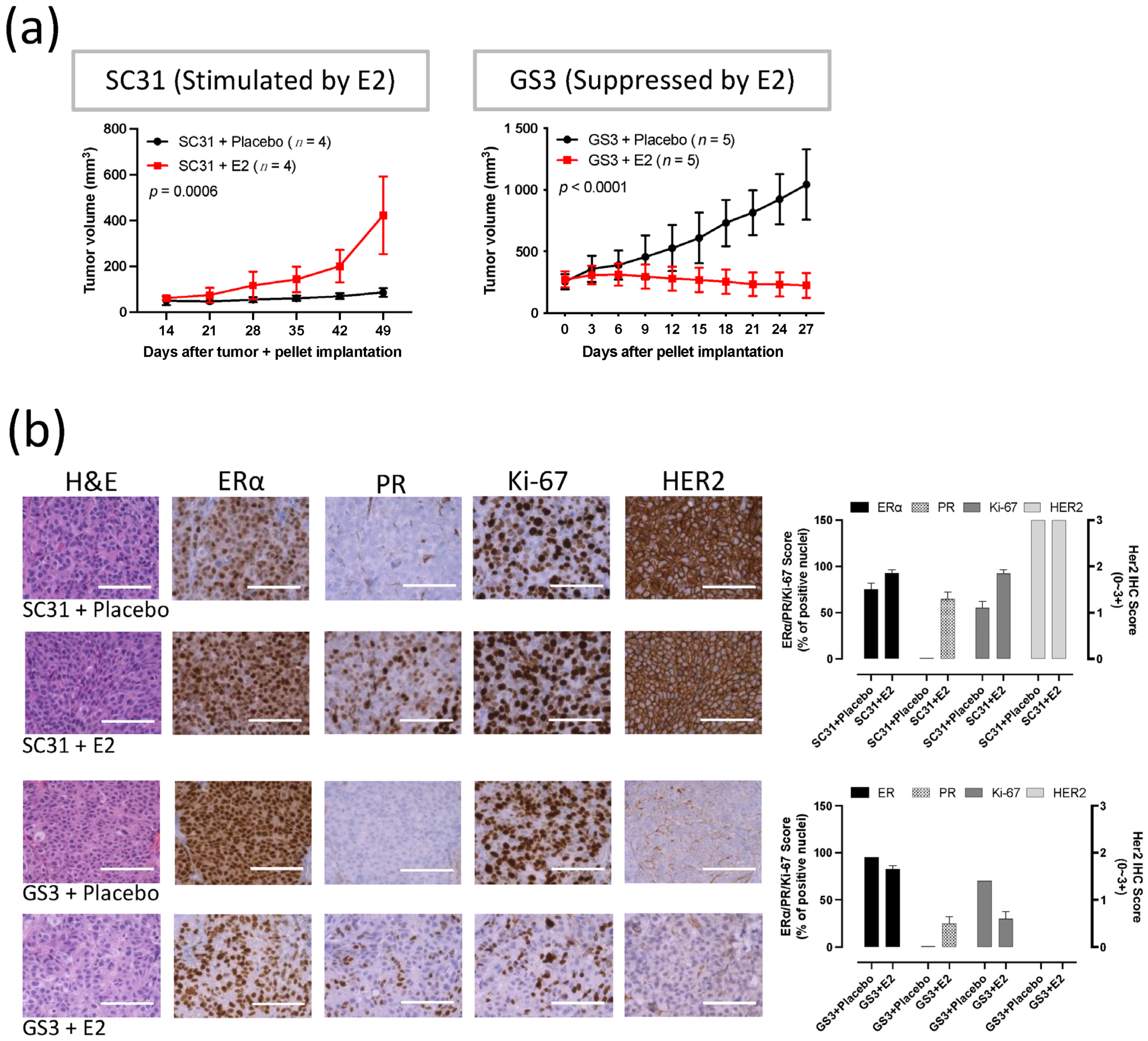 Cancers 13 06375 g001